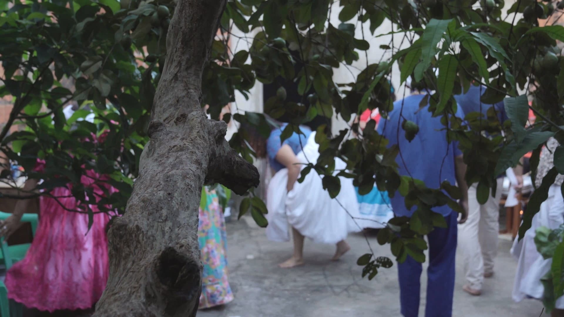 Sealed in Scars backdrop