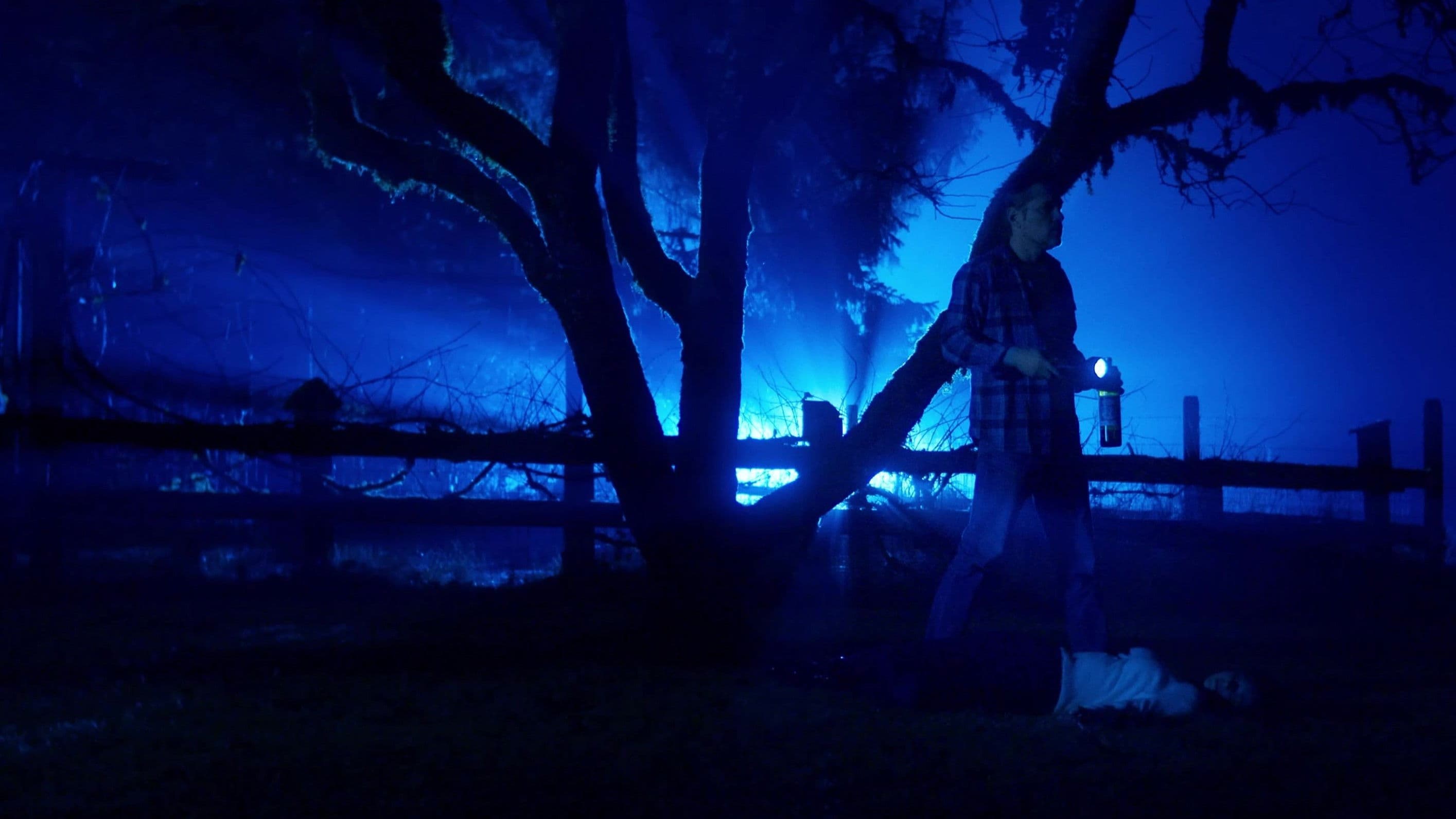 Bigfoot Killed My Wife backdrop