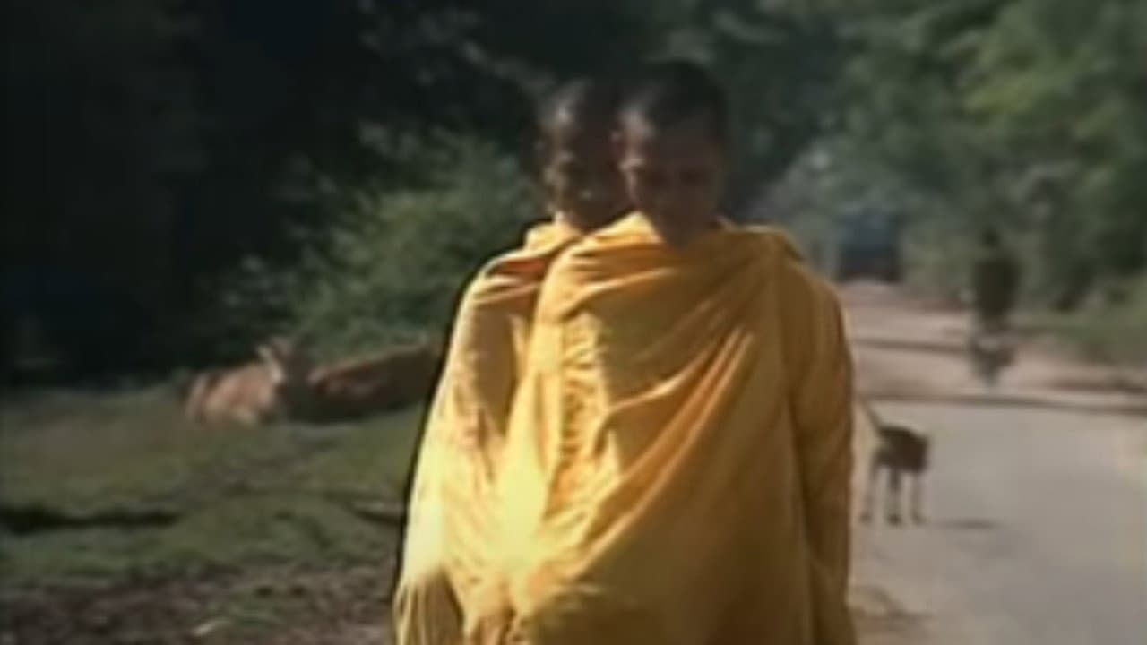 Inside the Khmer Rouge backdrop