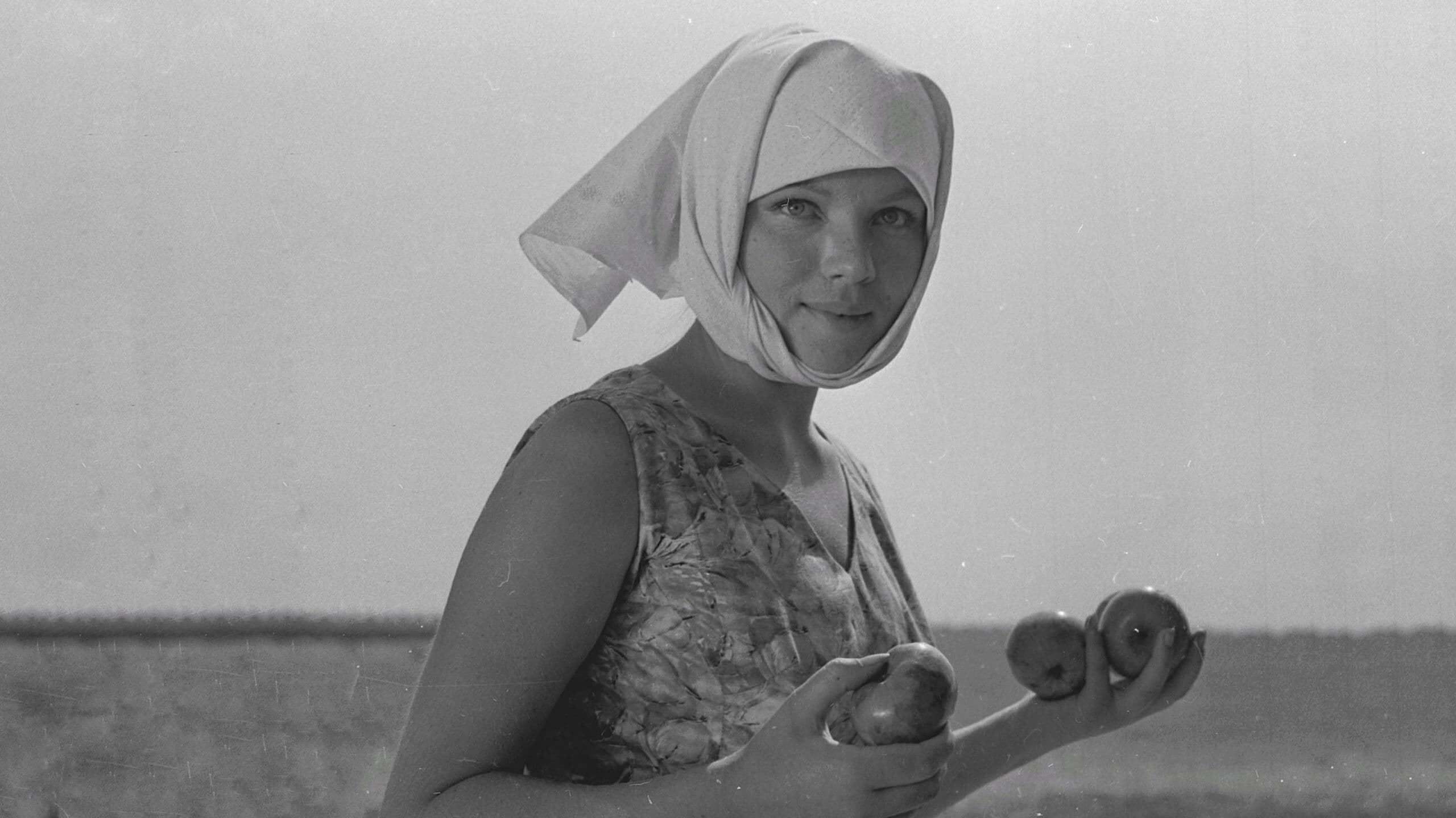 Autumn Weddings backdrop