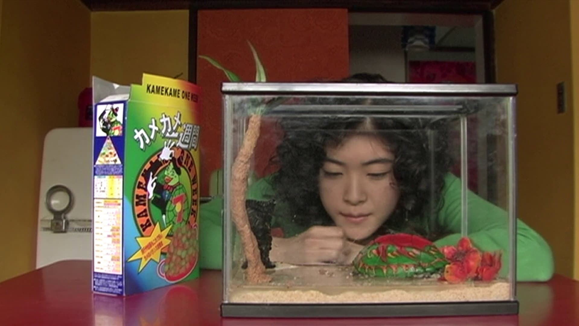 Turtles Are Surprisingly Fast Swimmers backdrop