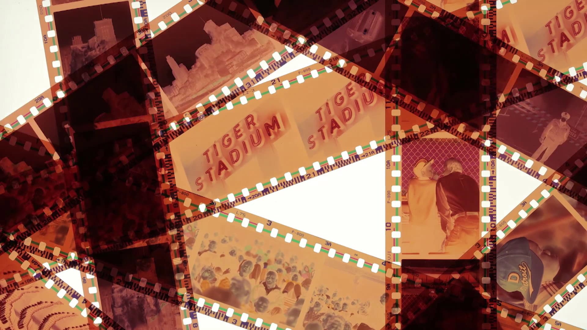 The Roar of '84 backdrop