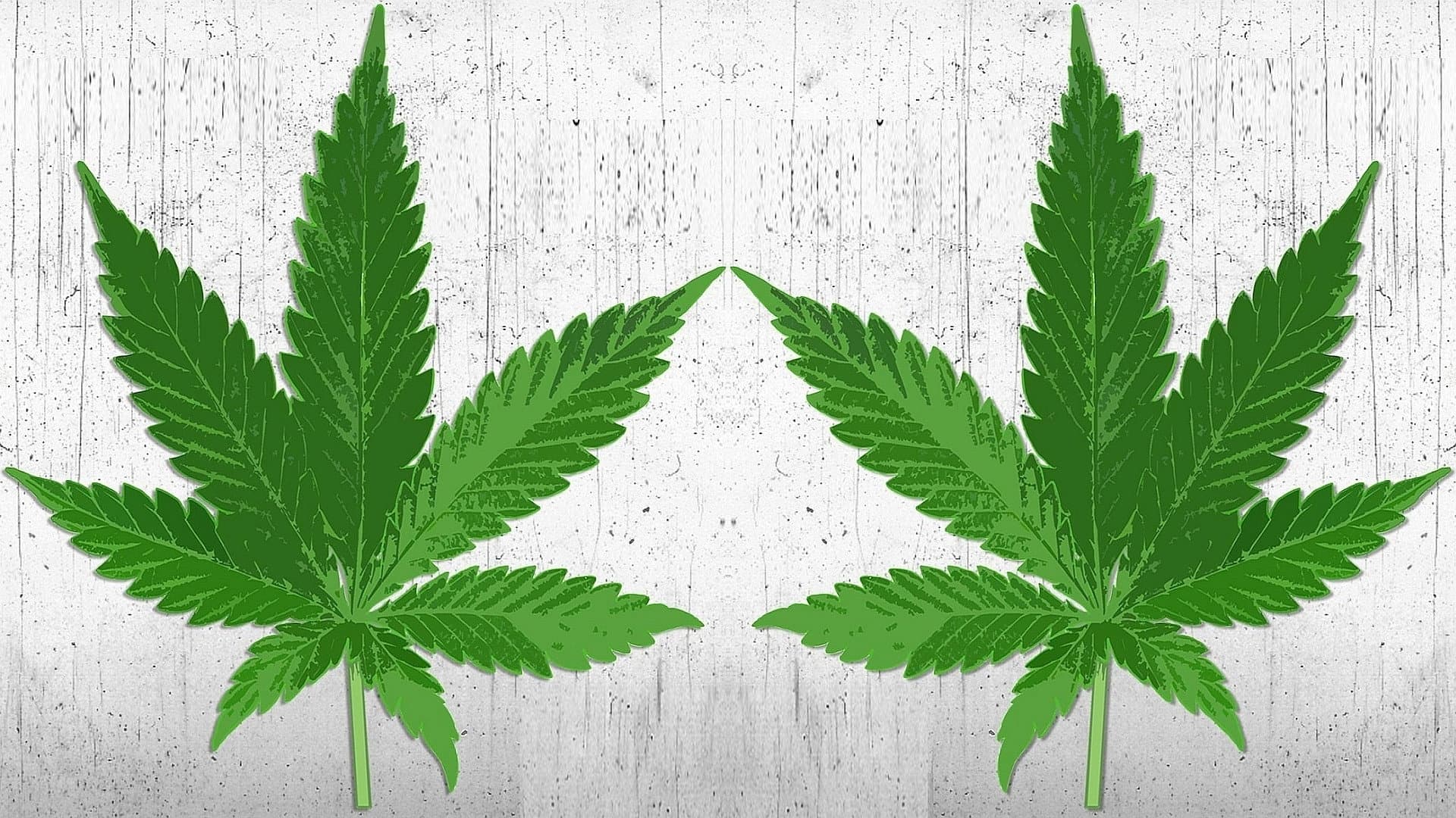 High There backdrop