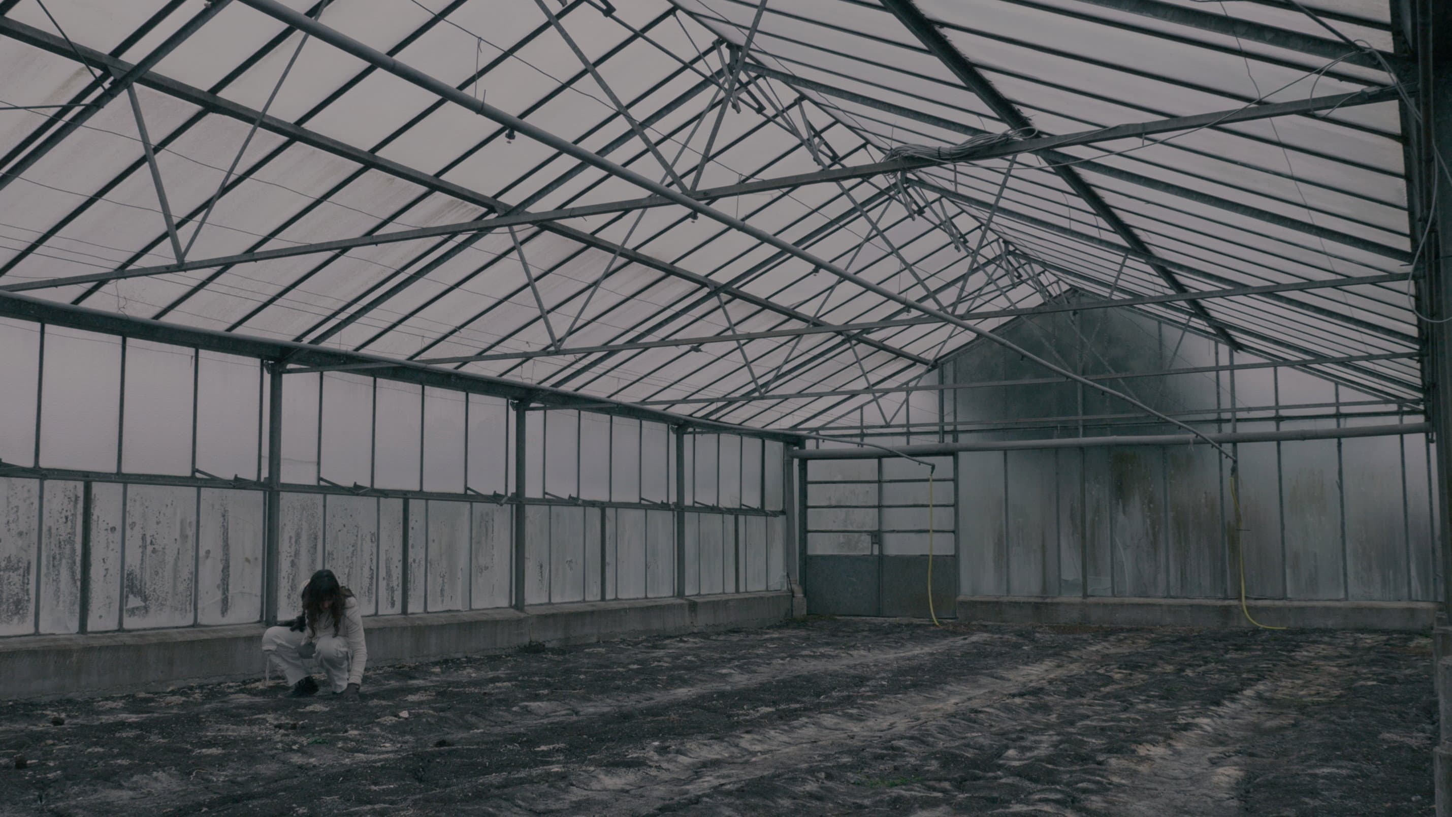 BLOOM - A Dystopian Short Film backdrop