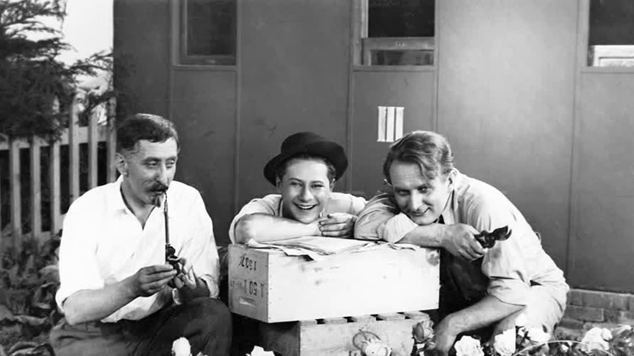 Na růžích ustláno backdrop