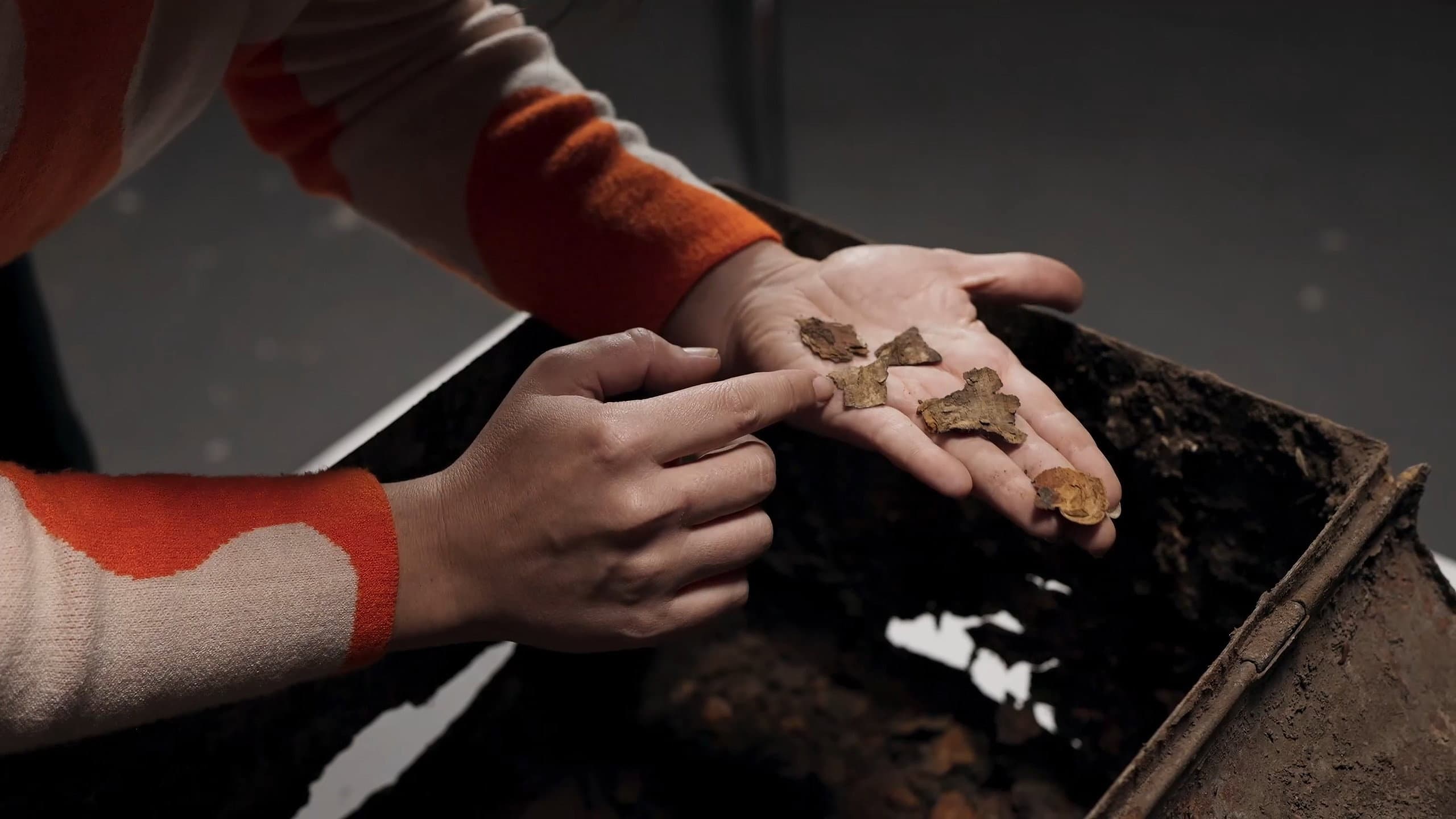 Unearthing. The Books We Didn't Inherit backdrop