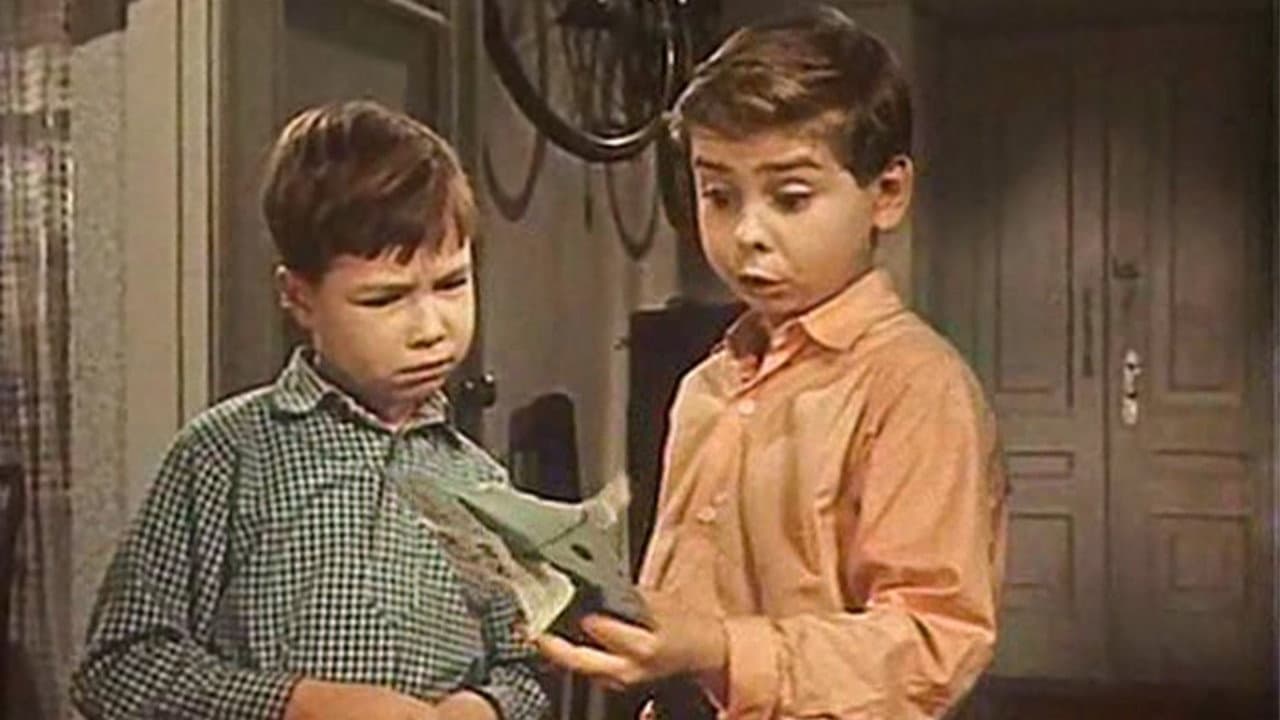 Little Friend backdrop