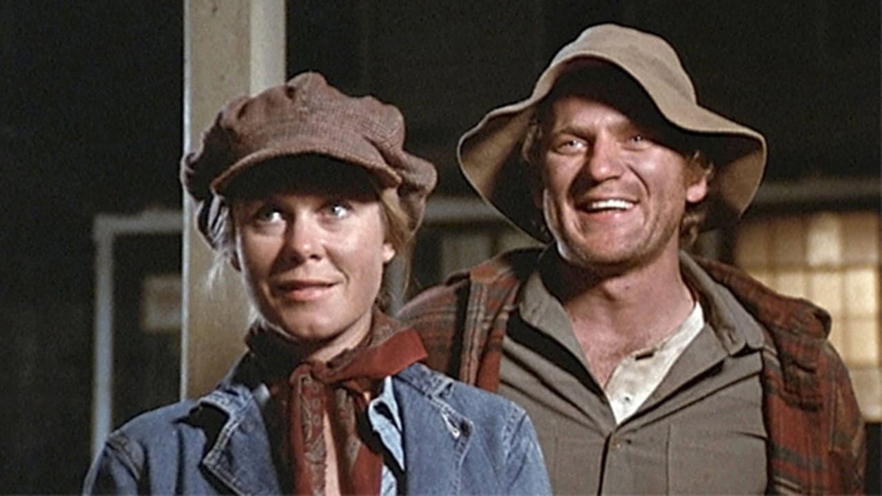 Mrs. Sundance backdrop