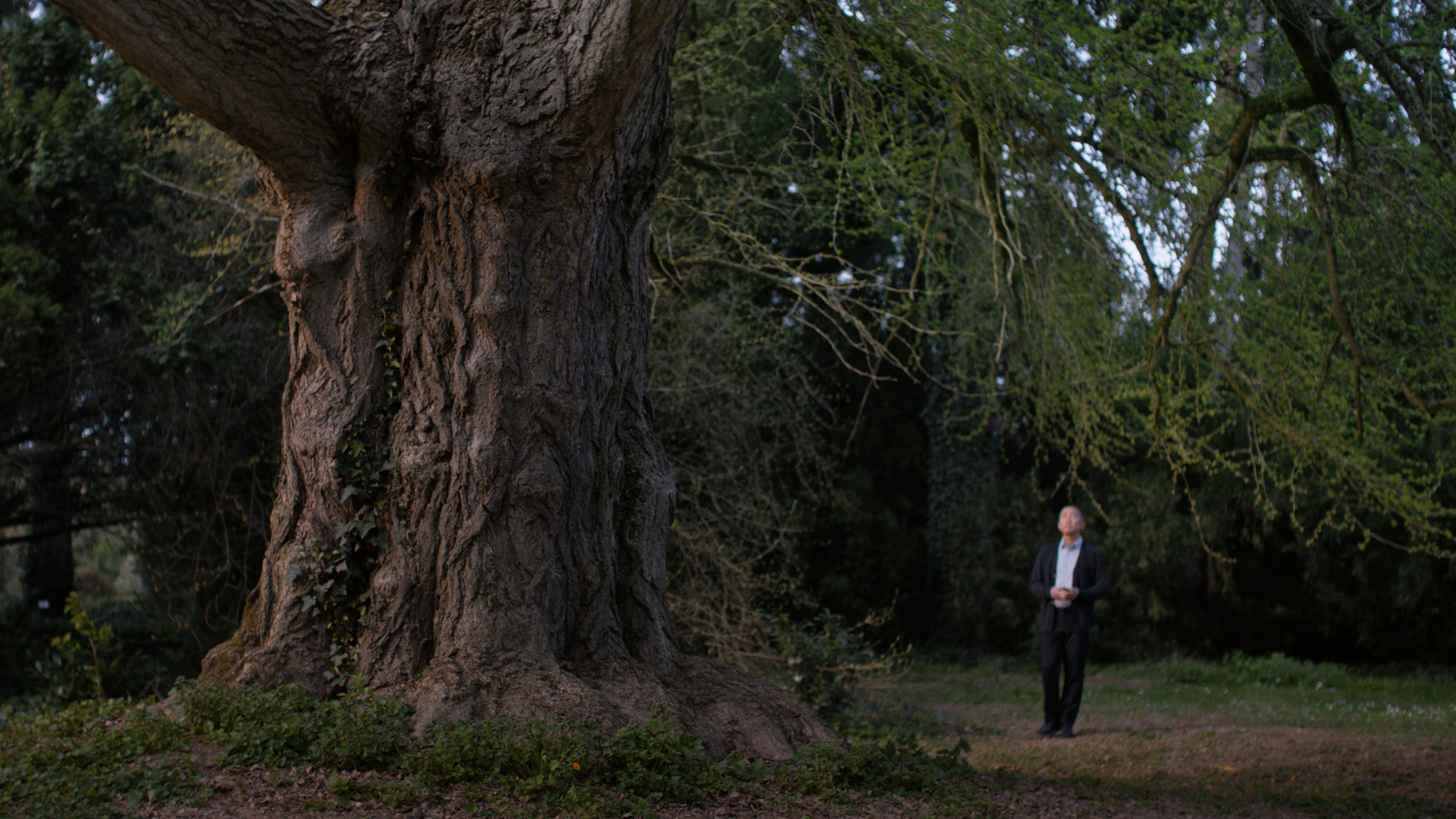 Silent Friend backdrop