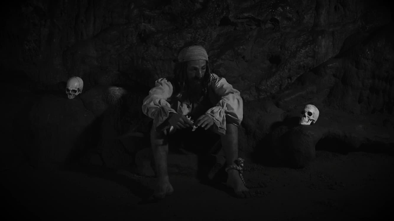 Sea, Salt & Rum backdrop