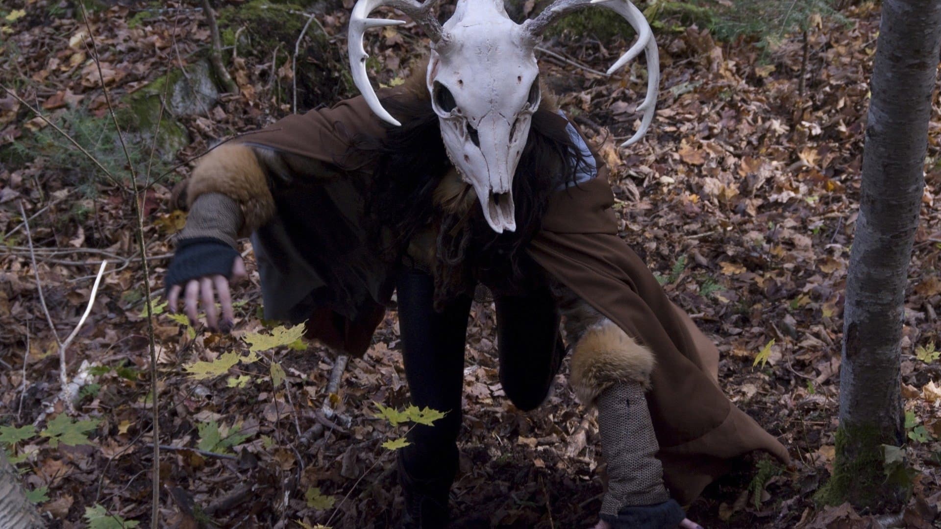 The Wild Hunt backdrop