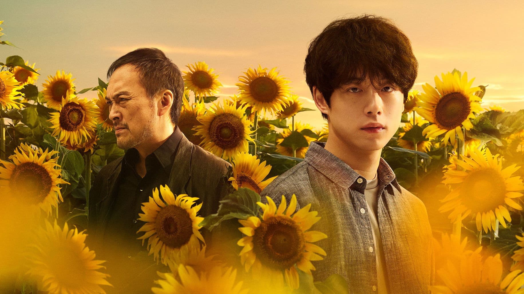 The Final Piece backdrop