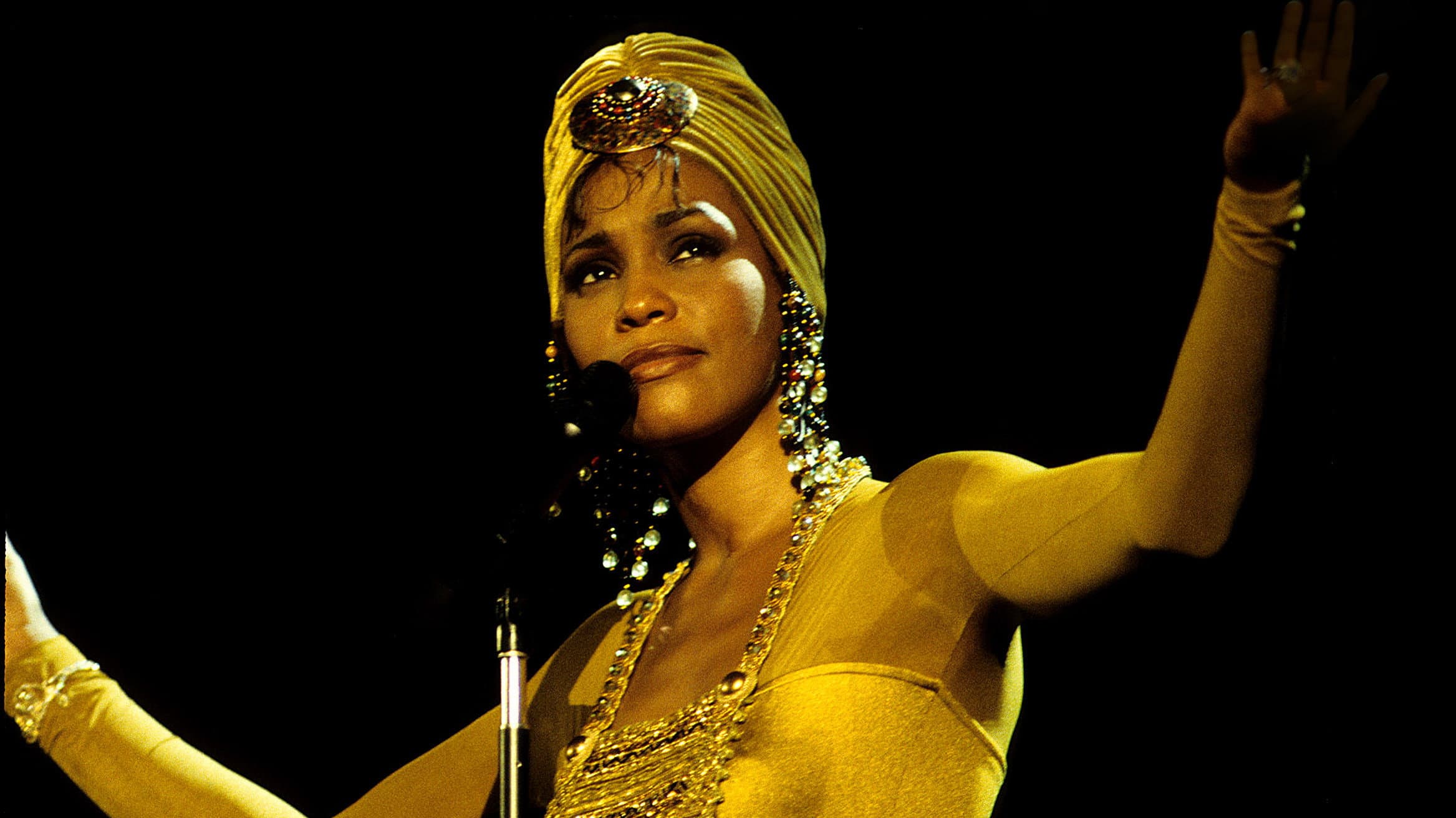 Whitney Houston Live in Johannesburg 1994 backdrop