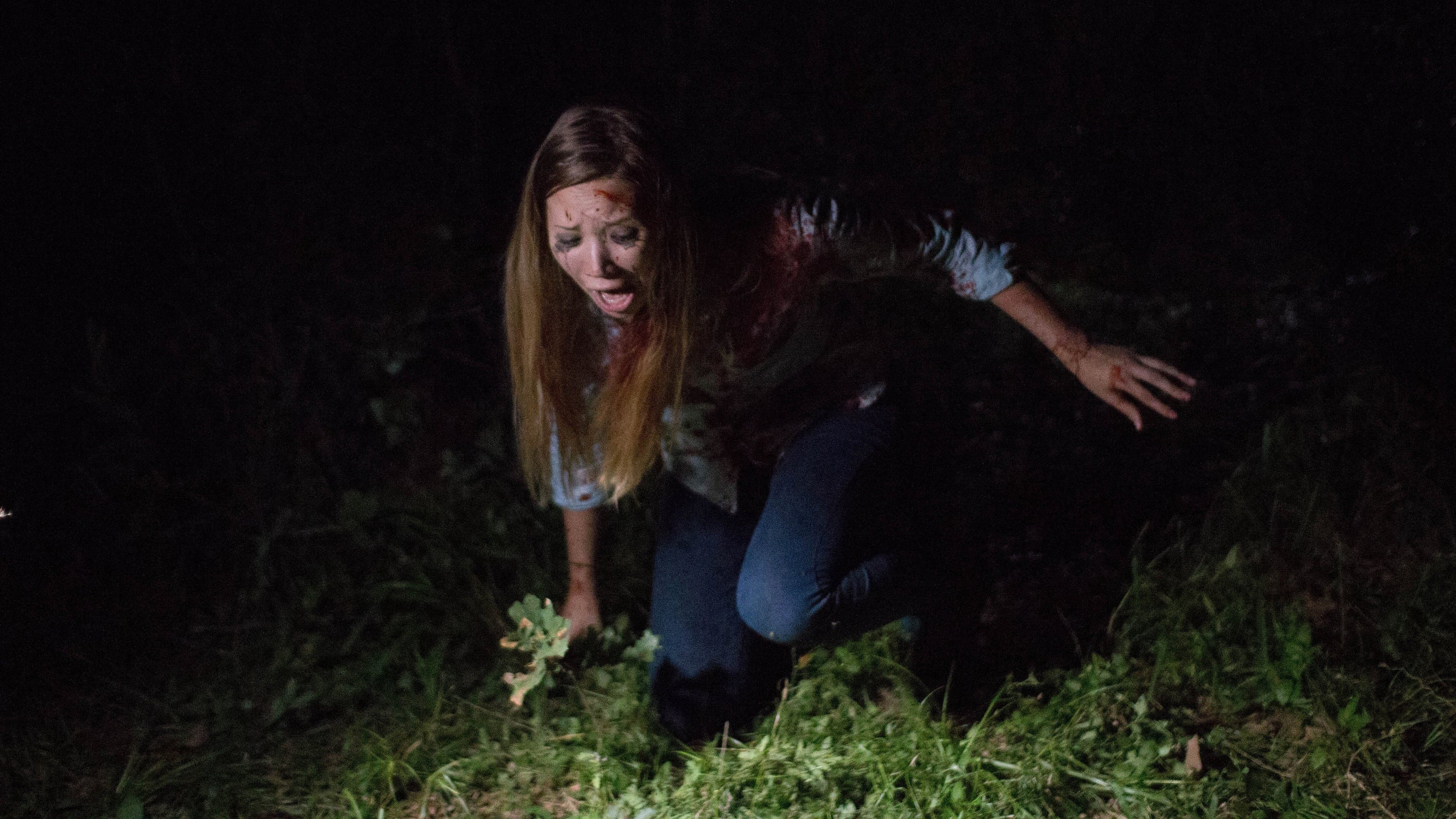 Found Footage 3D backdrop