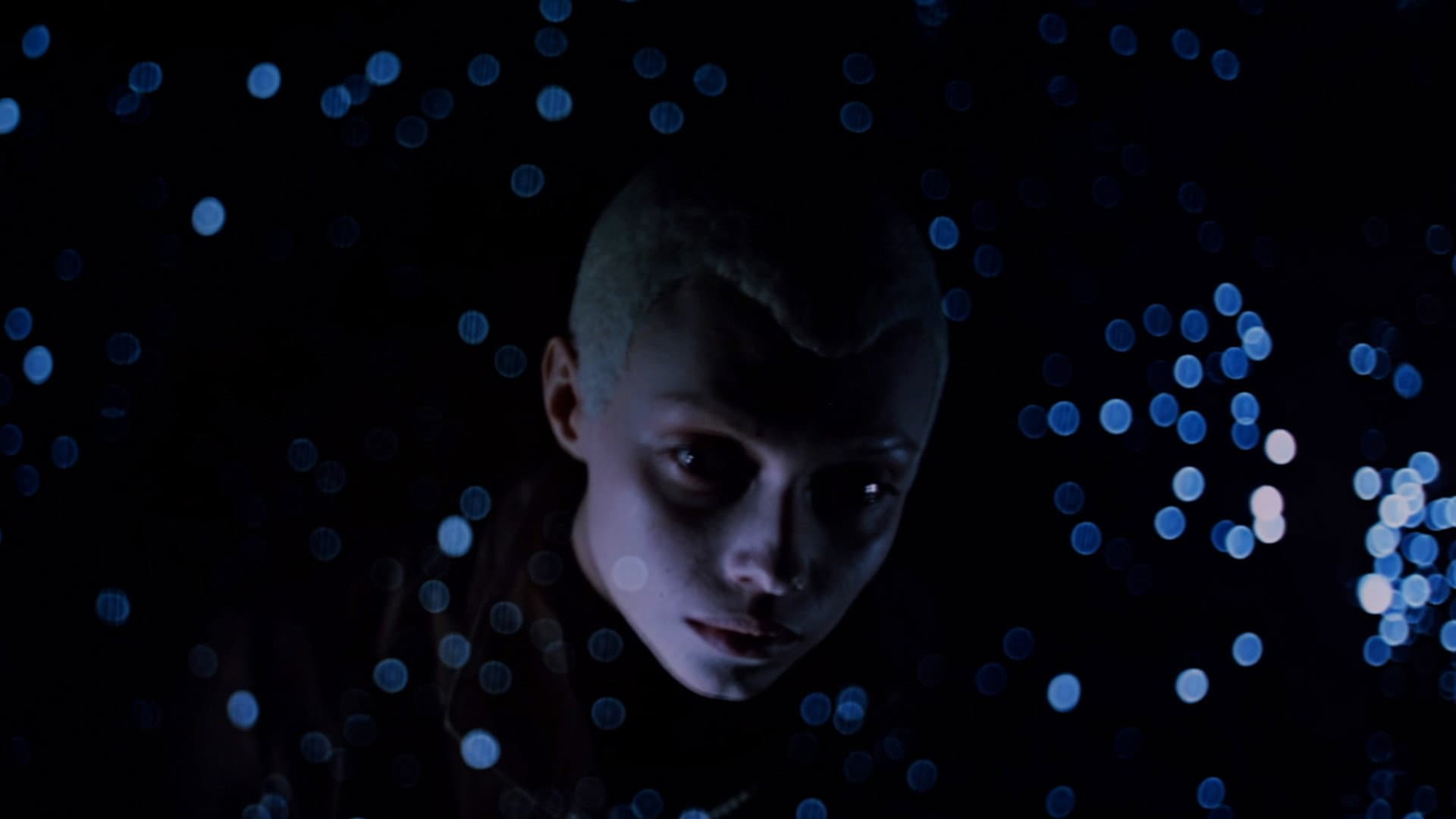 To the Stars by Hard Ways backdrop