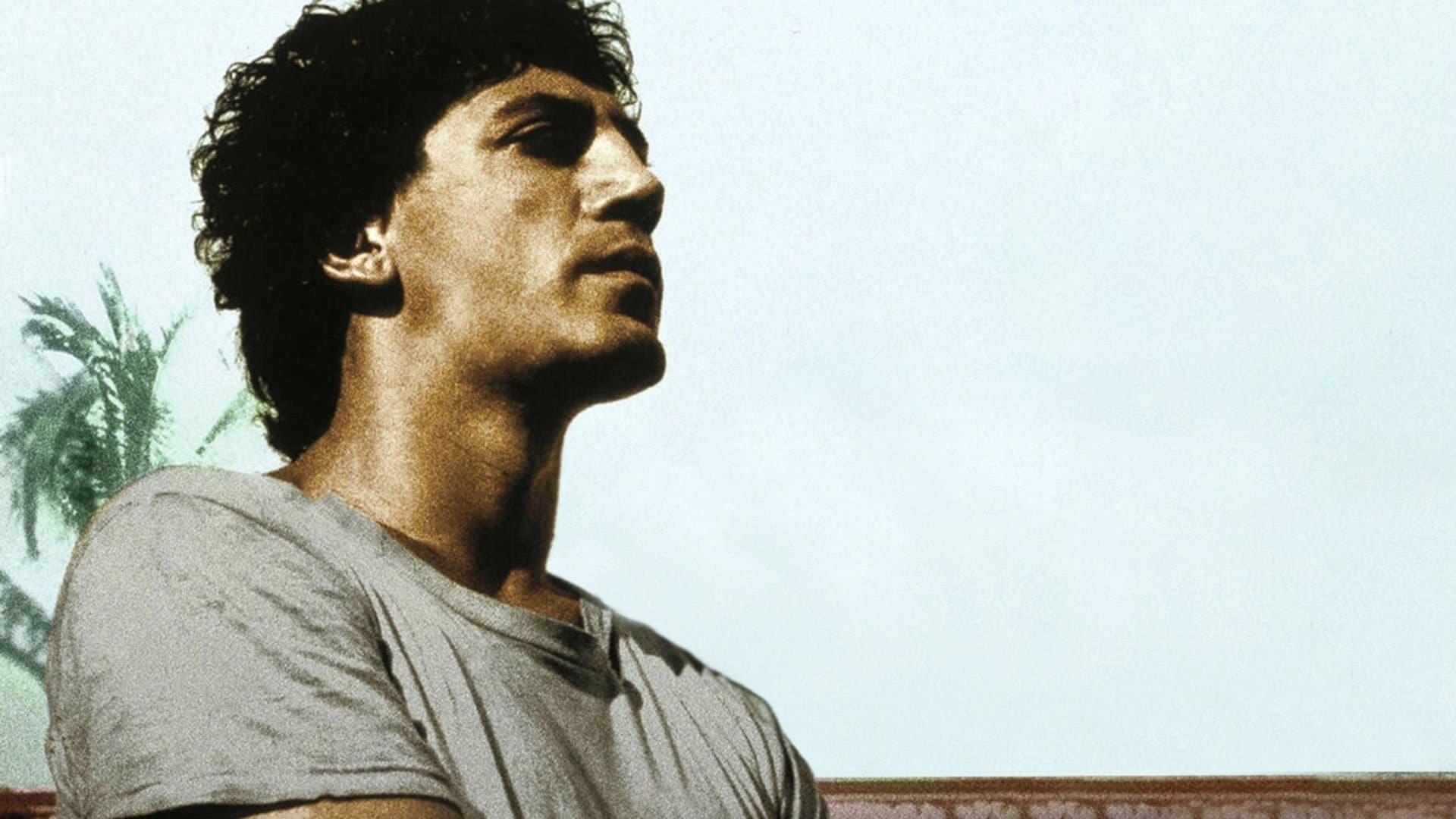 Before Night Falls backdrop