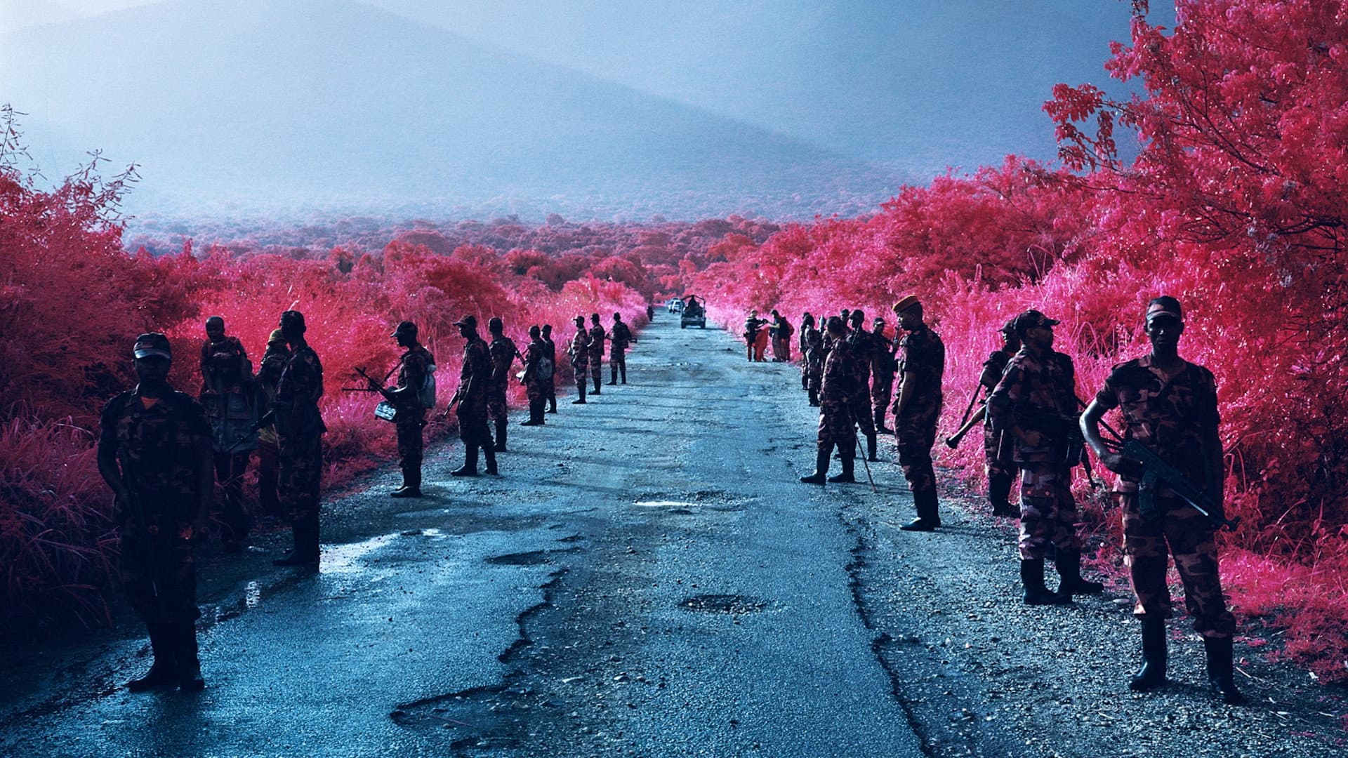 The Enclave backdrop