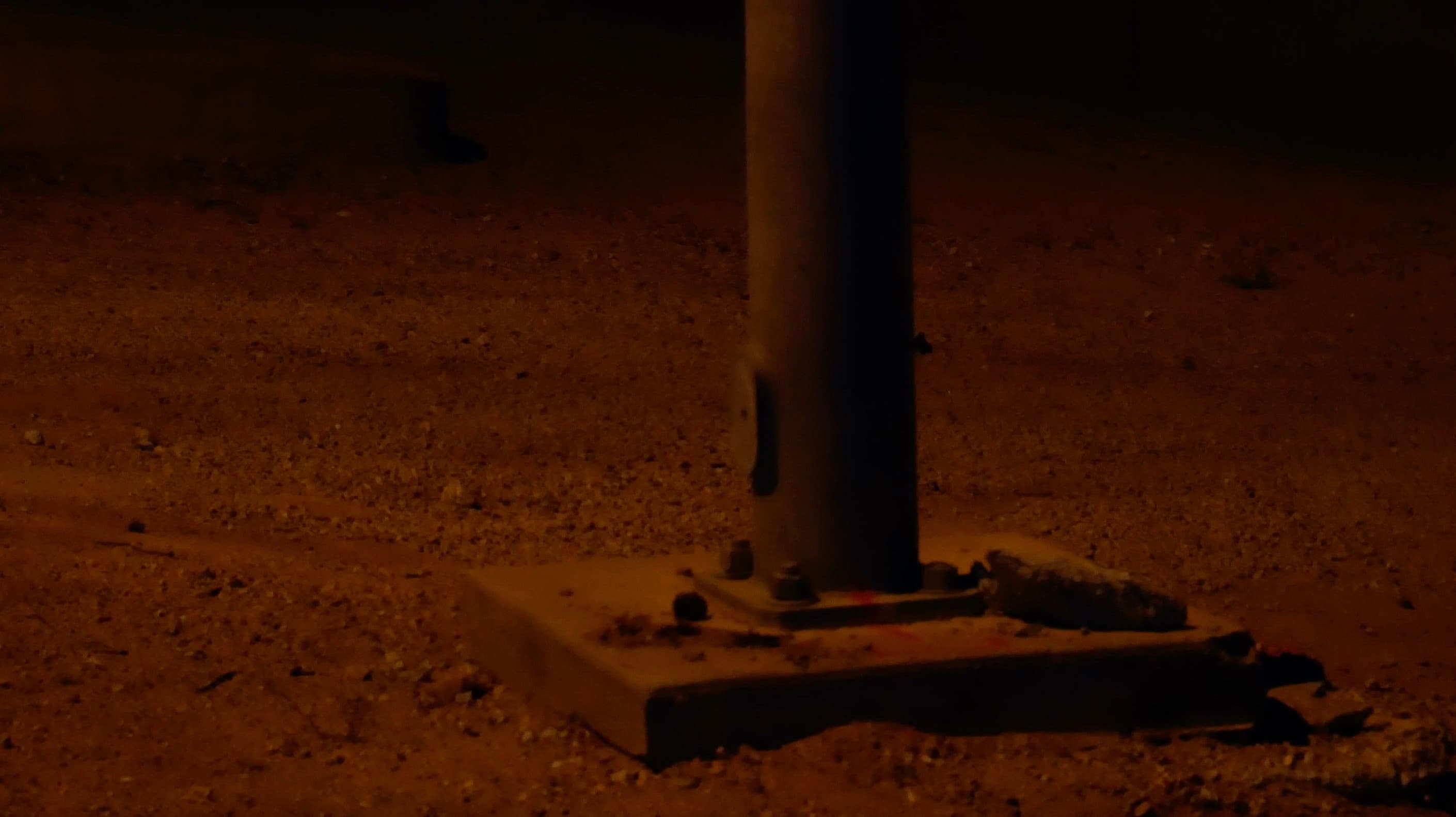 Birth Canal backdrop