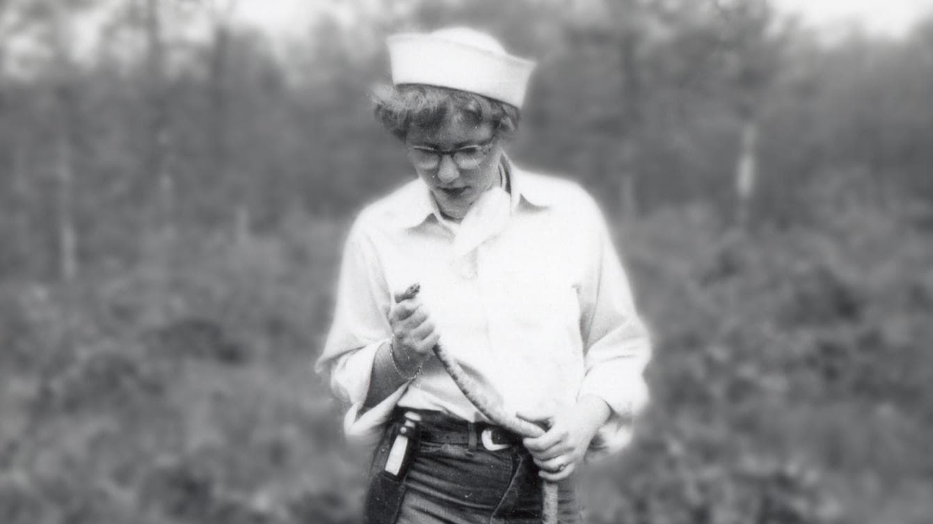 Joanne Martin: A Life in Miniature backdrop