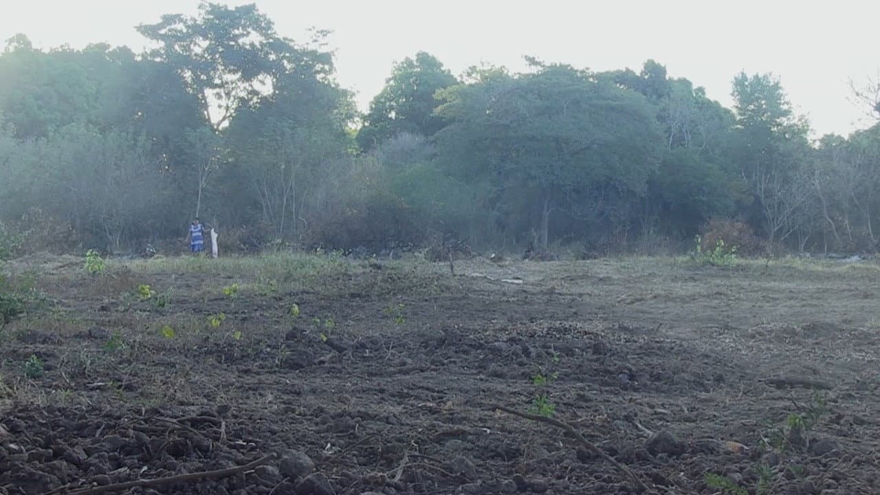 We Are Always Walking backdrop