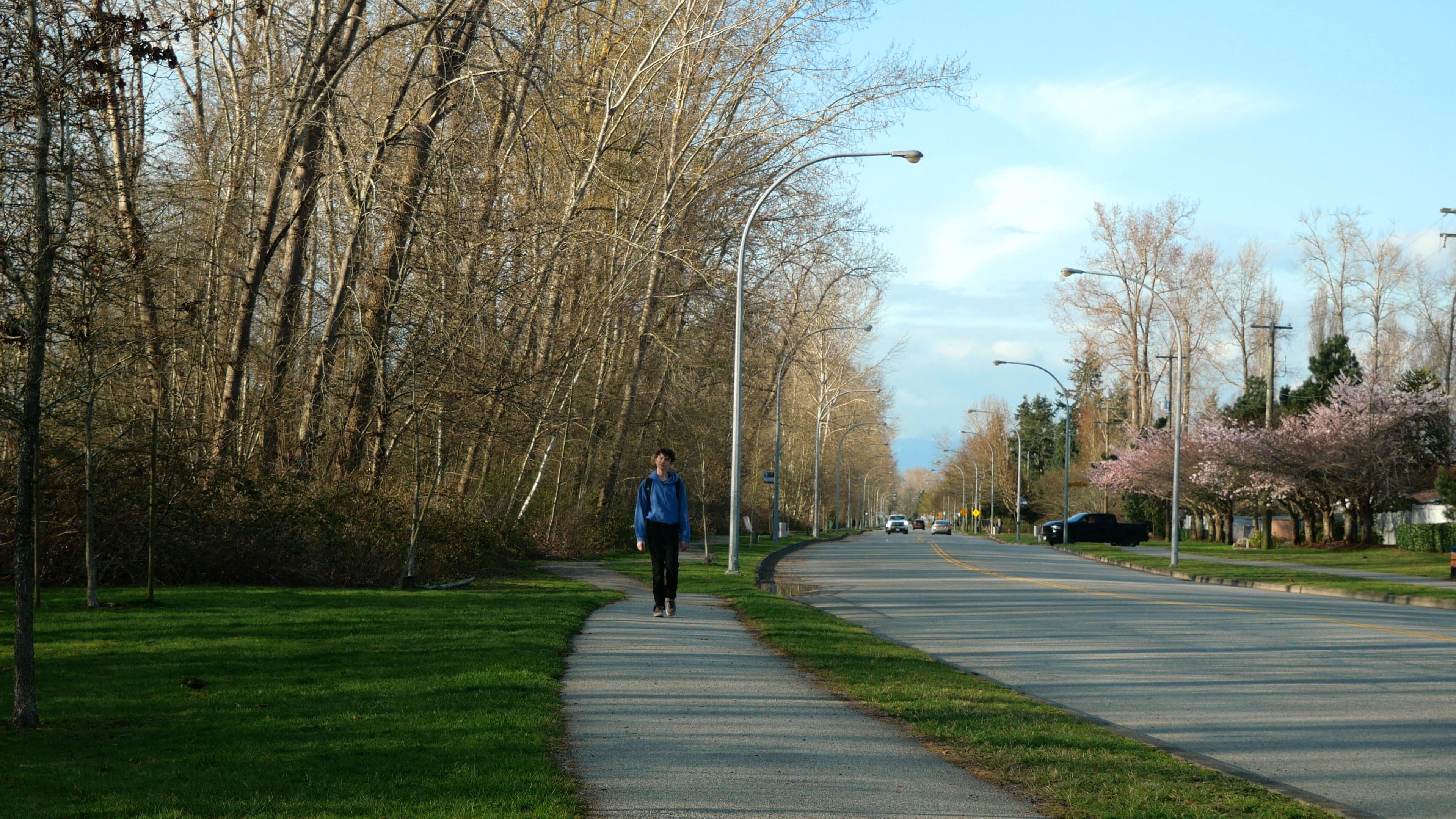 Appreciating backdrop