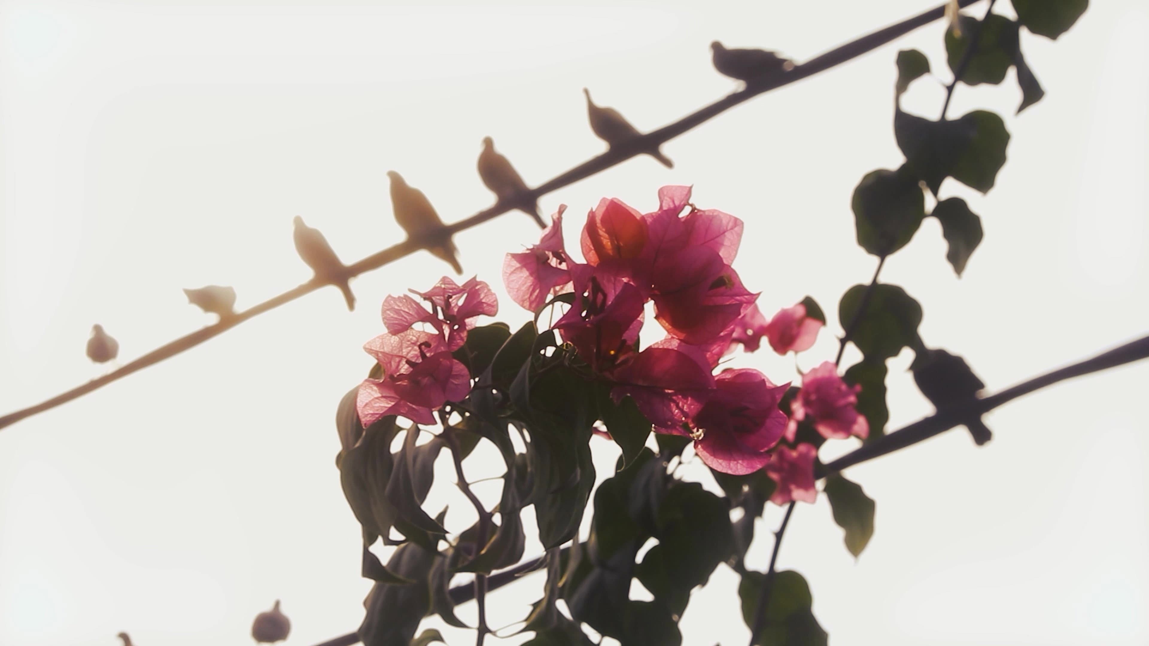 Out of Time backdrop