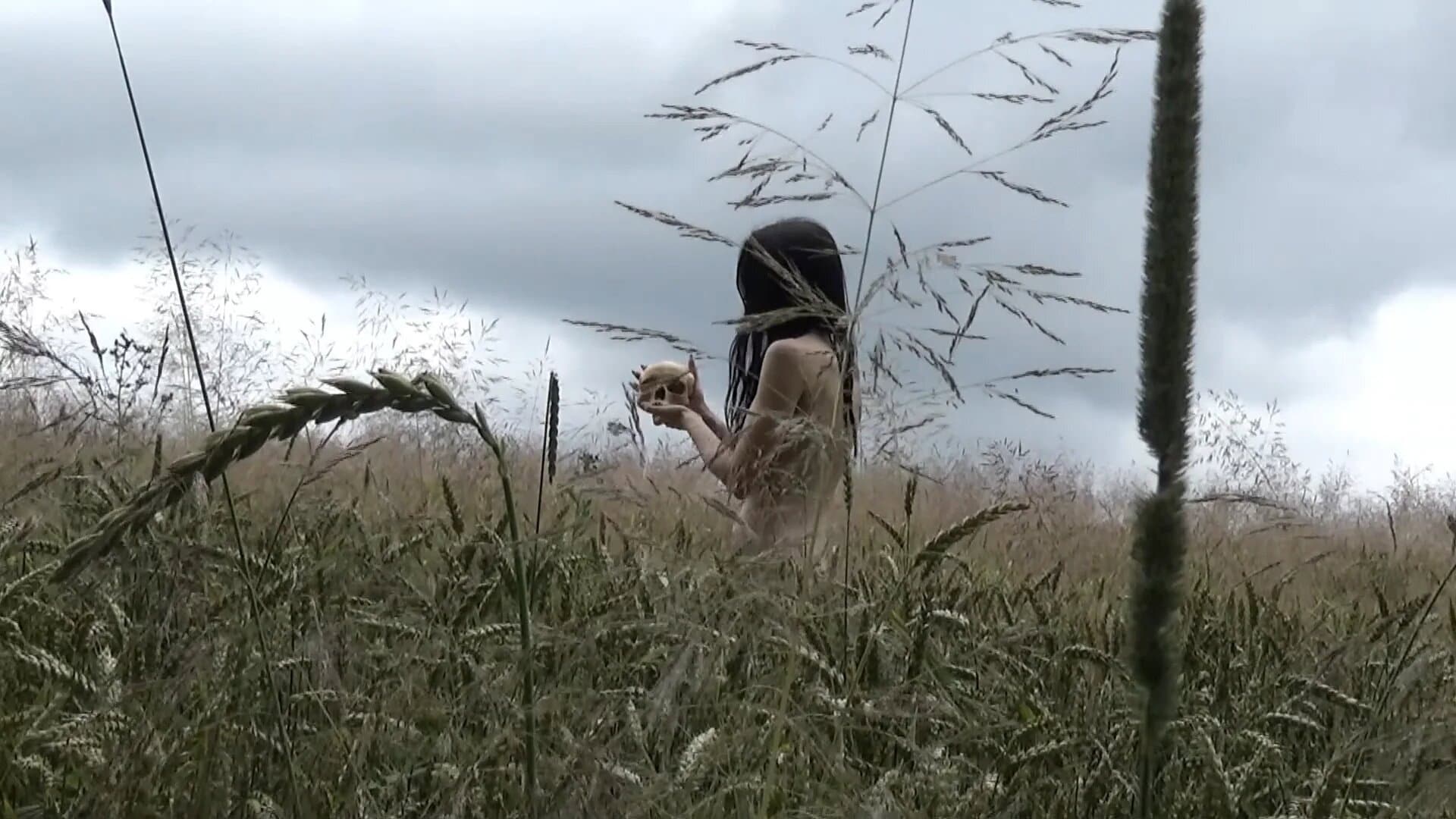 Solitude of the Tormentors backdrop