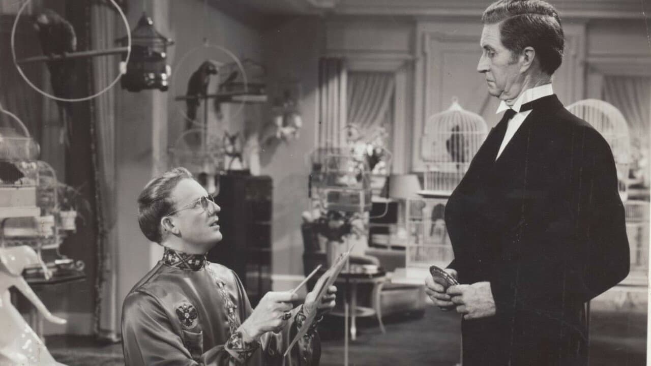 Paddy O'Day backdrop