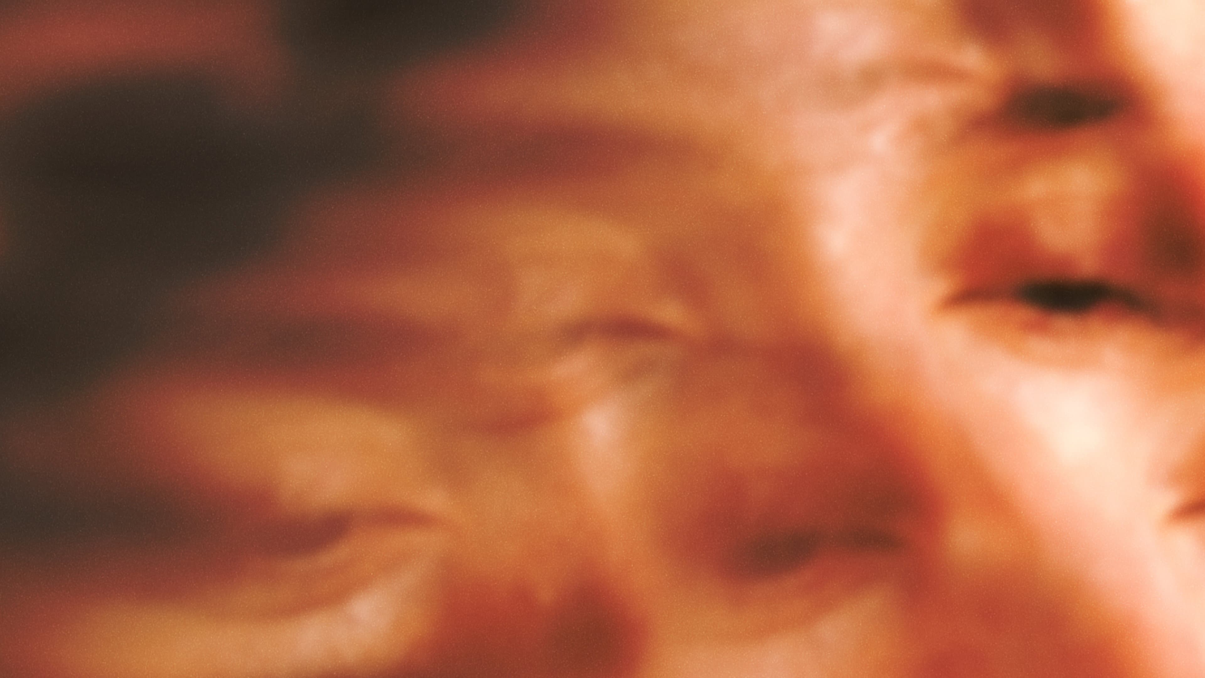 Son of Sauna backdrop