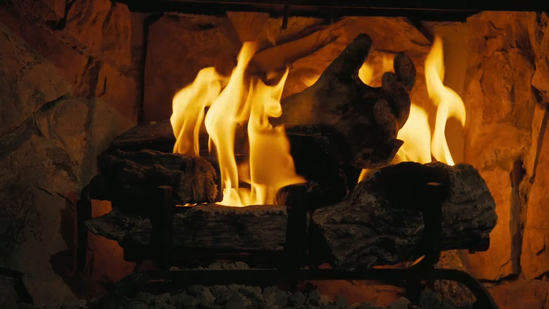 Fallout: The Ghoul Log backdrop