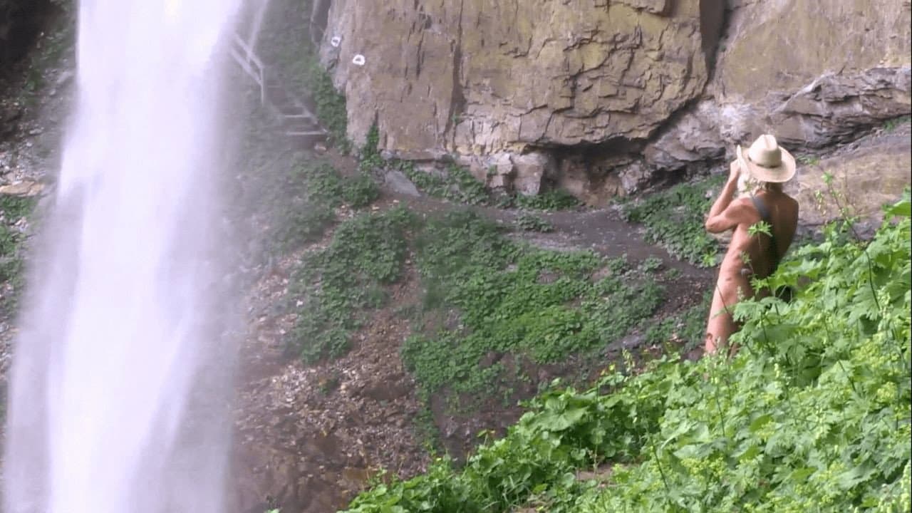 Travelling Light backdrop