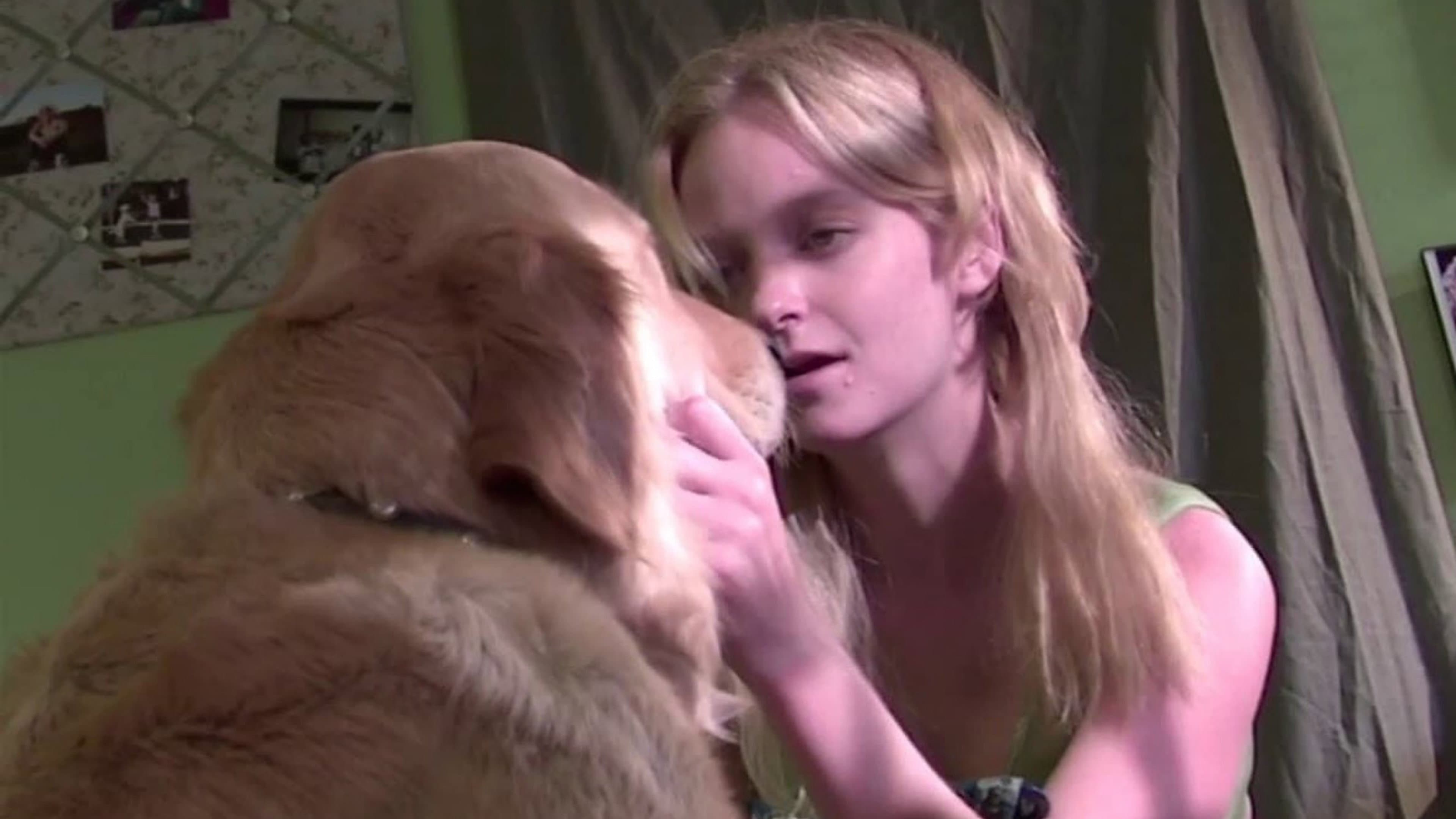 Love on a Leash backdrop