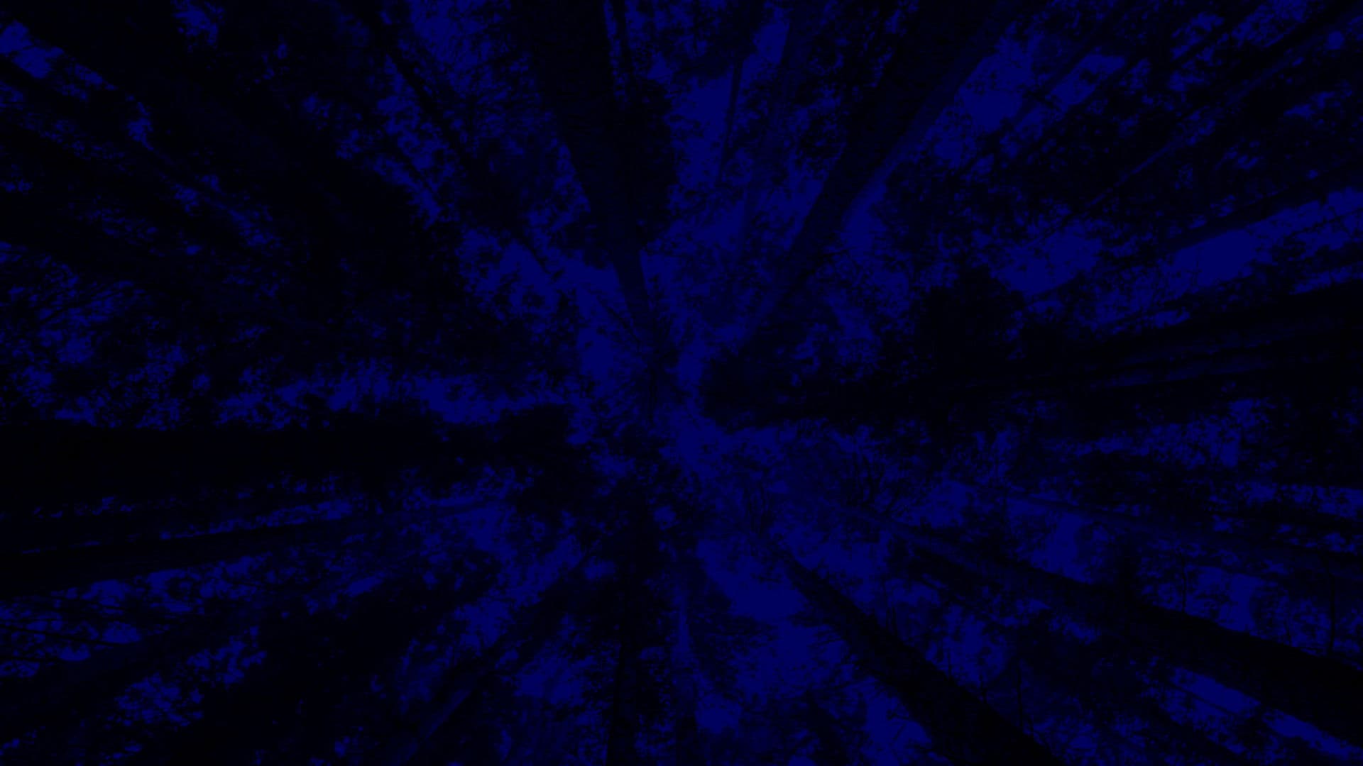 New York City Opera: A Little Night Music backdrop