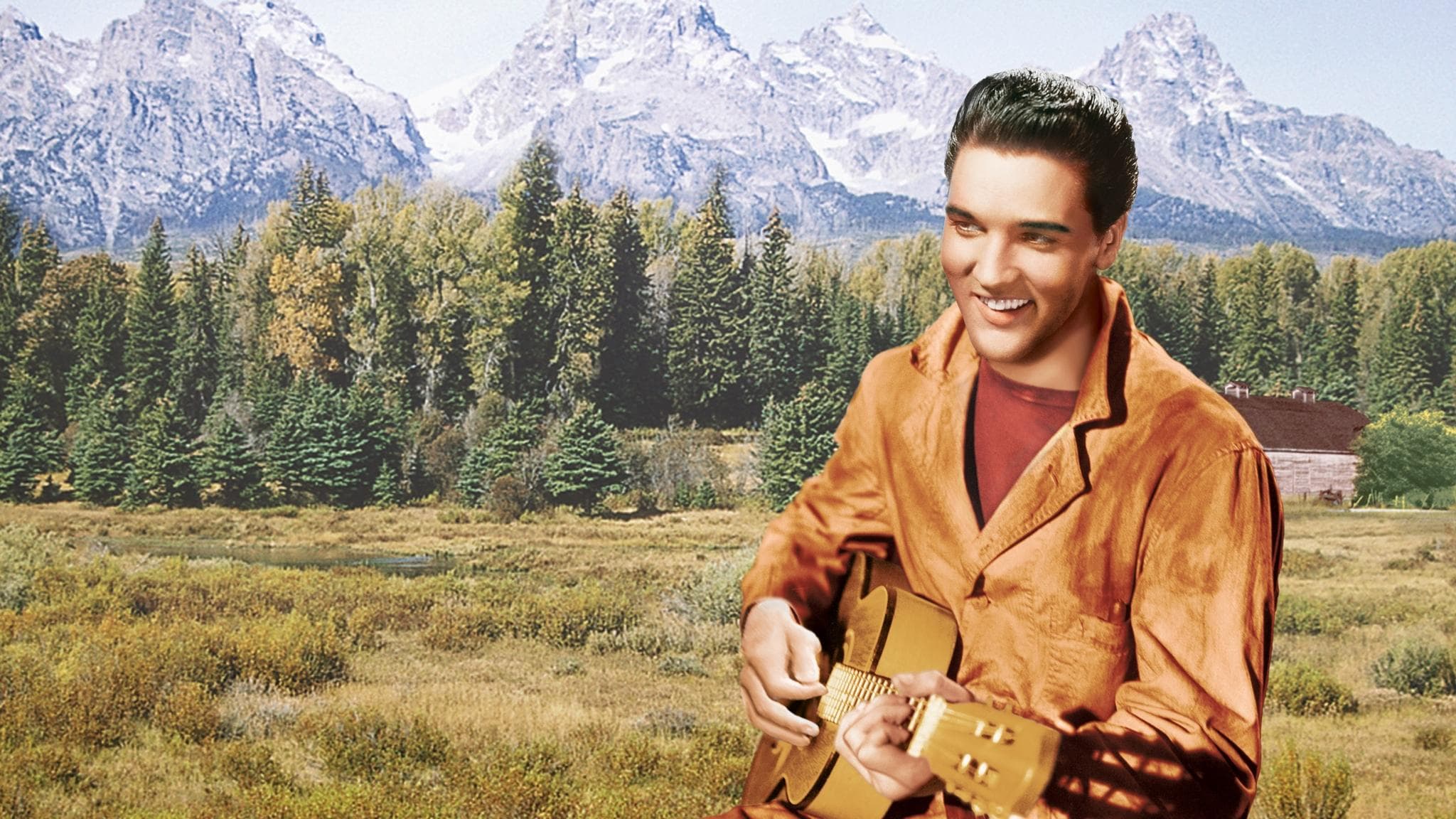 Wild in the Country backdrop