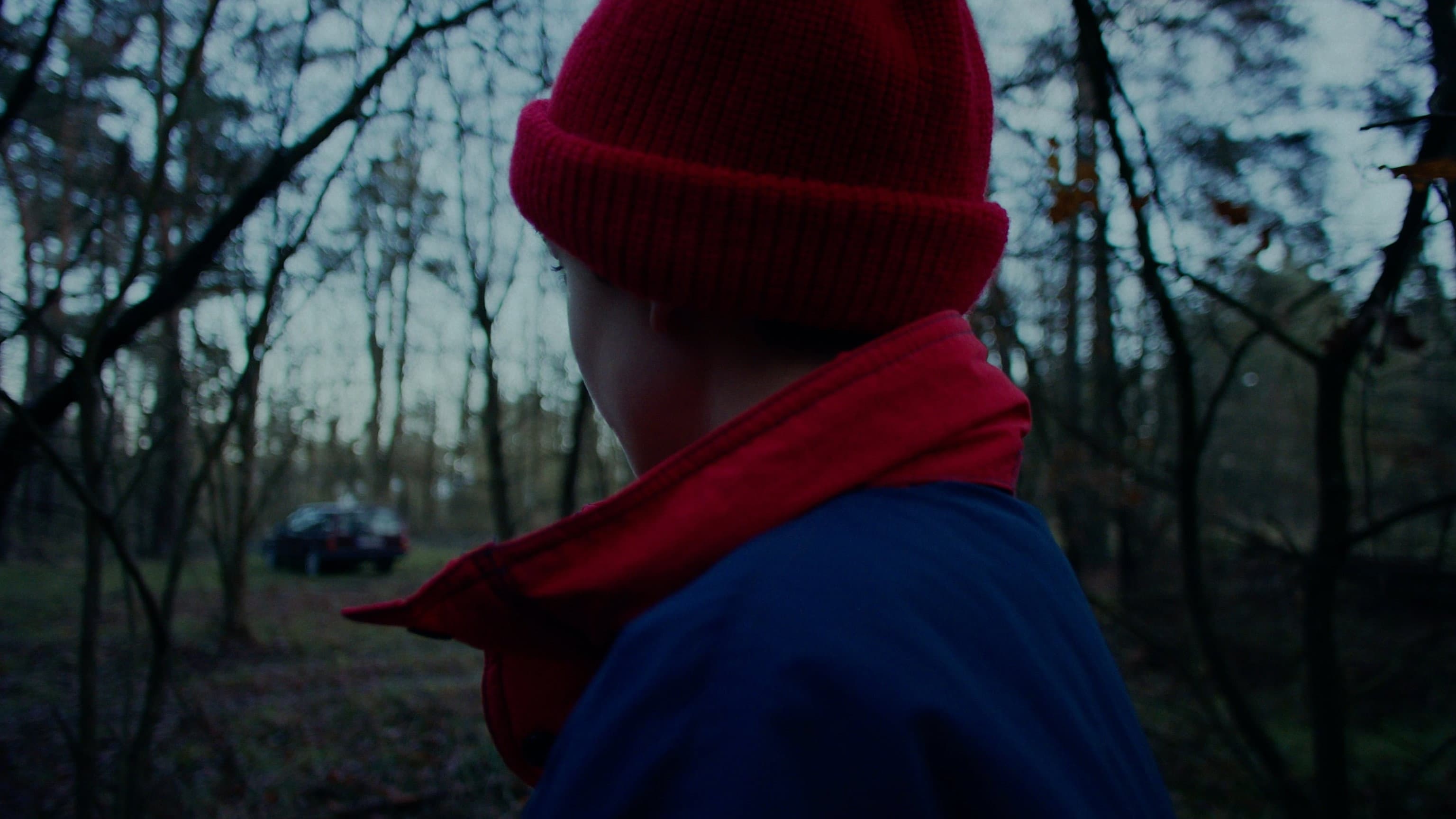 A Blackbird Sat on a Branch backdrop