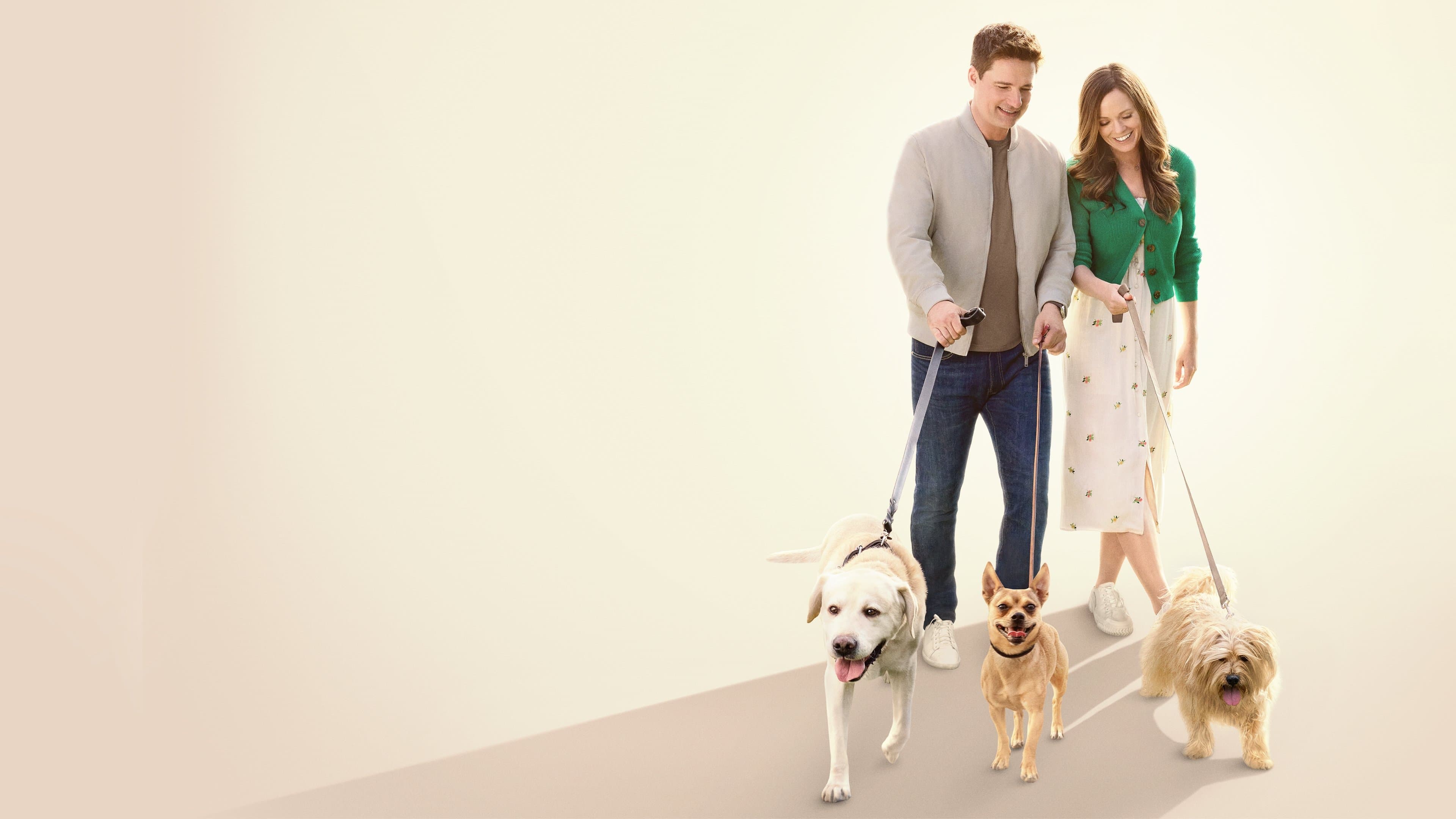 The More Love Grows backdrop