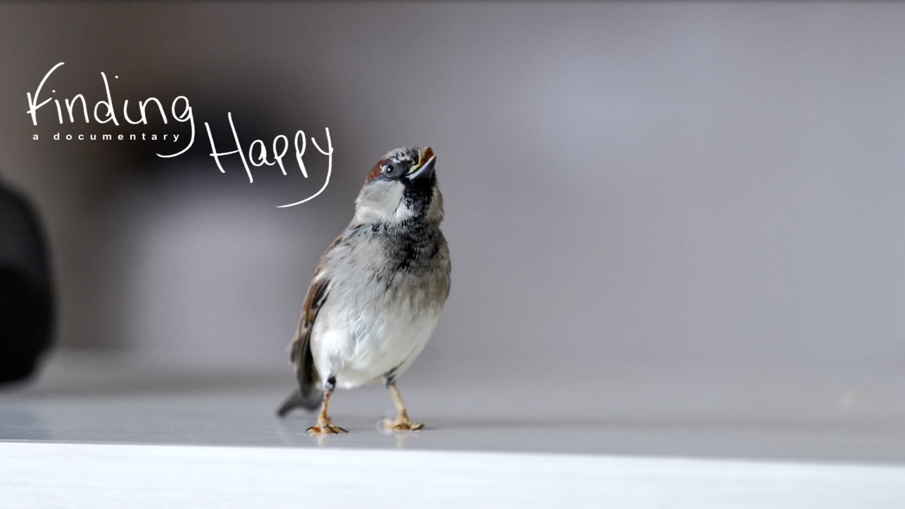 Finding Happy backdrop