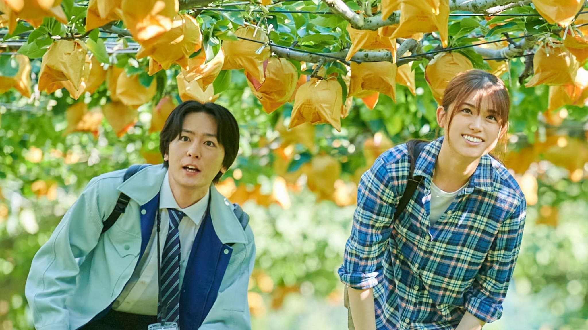 Nouka no Mikata backdrop