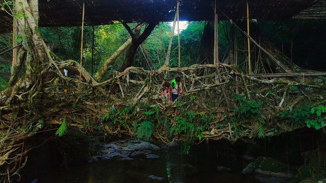 For Tomorrow - the Documentary backdrop