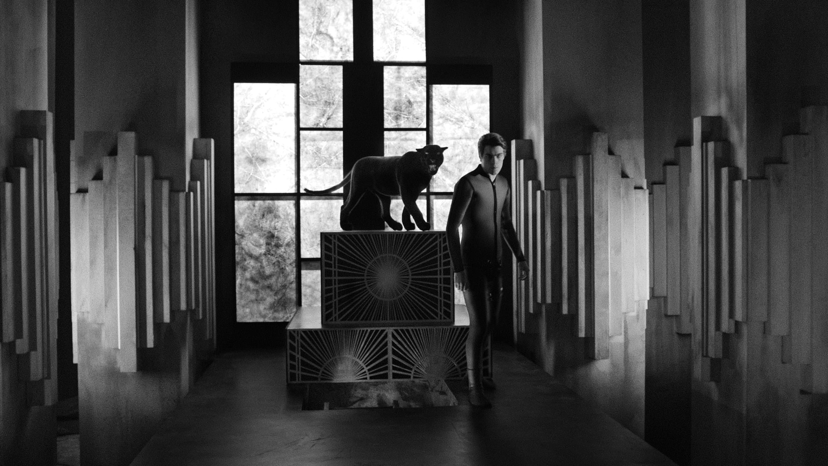 Diabolik: Who Are You? backdrop