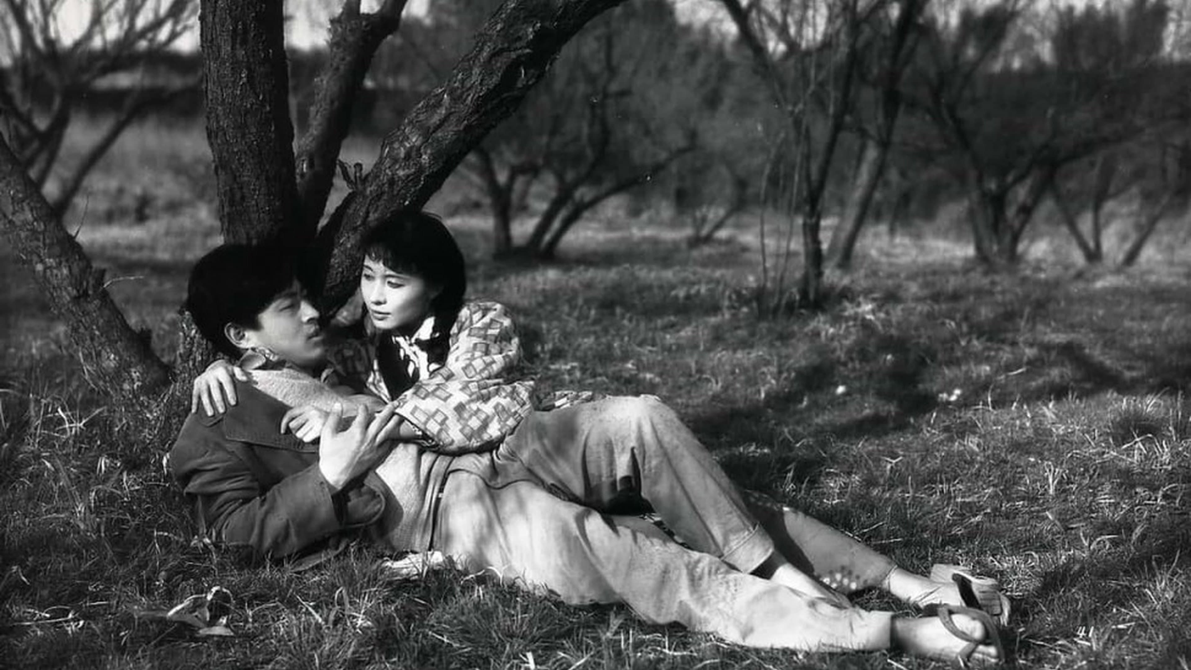 Stolen Desire backdrop