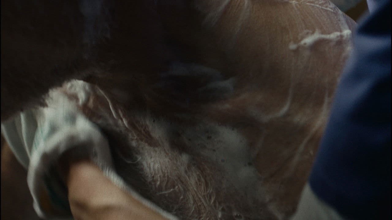 Dignity Keeper backdrop