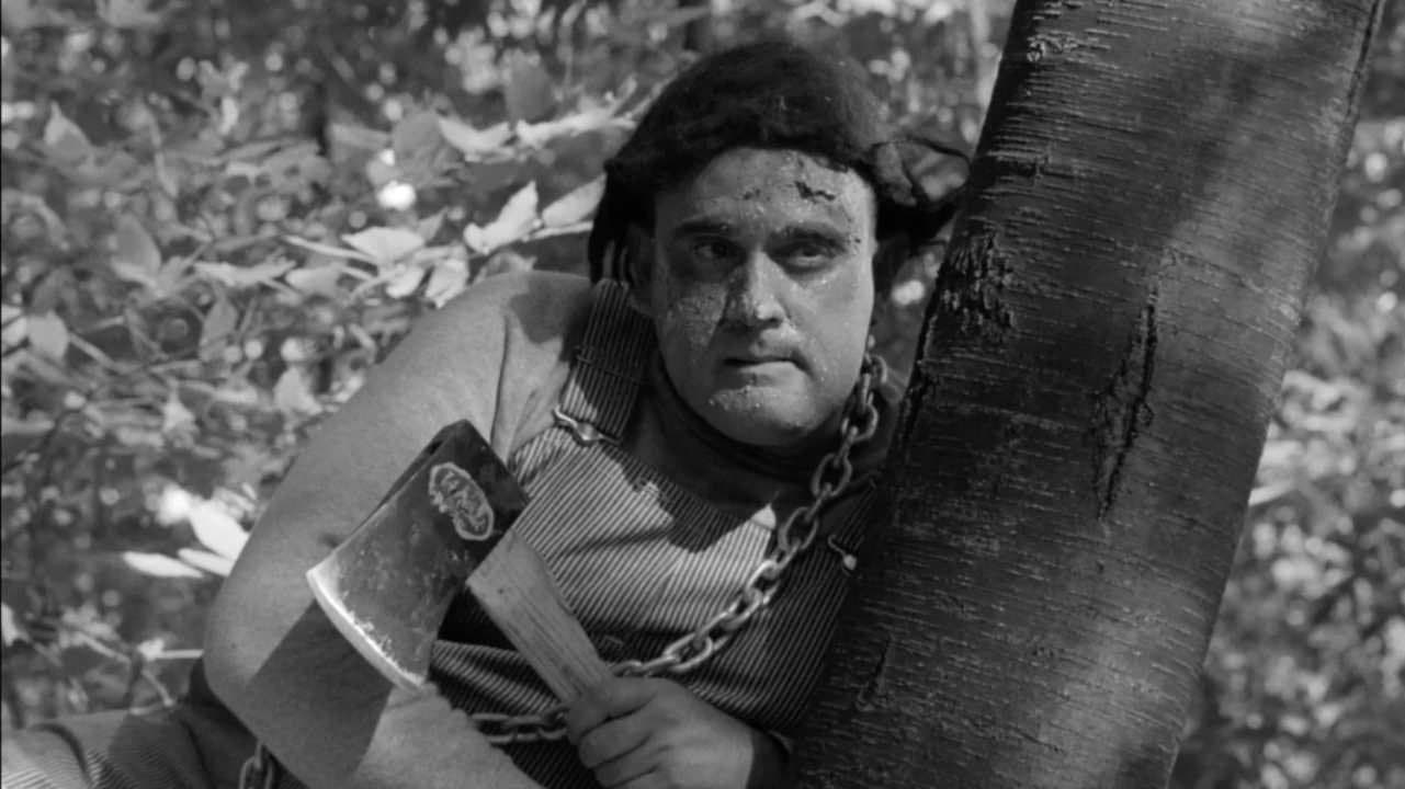 The Monster of Camp Sunshine or How I Learned to Stop Worrying and Love Nature backdrop