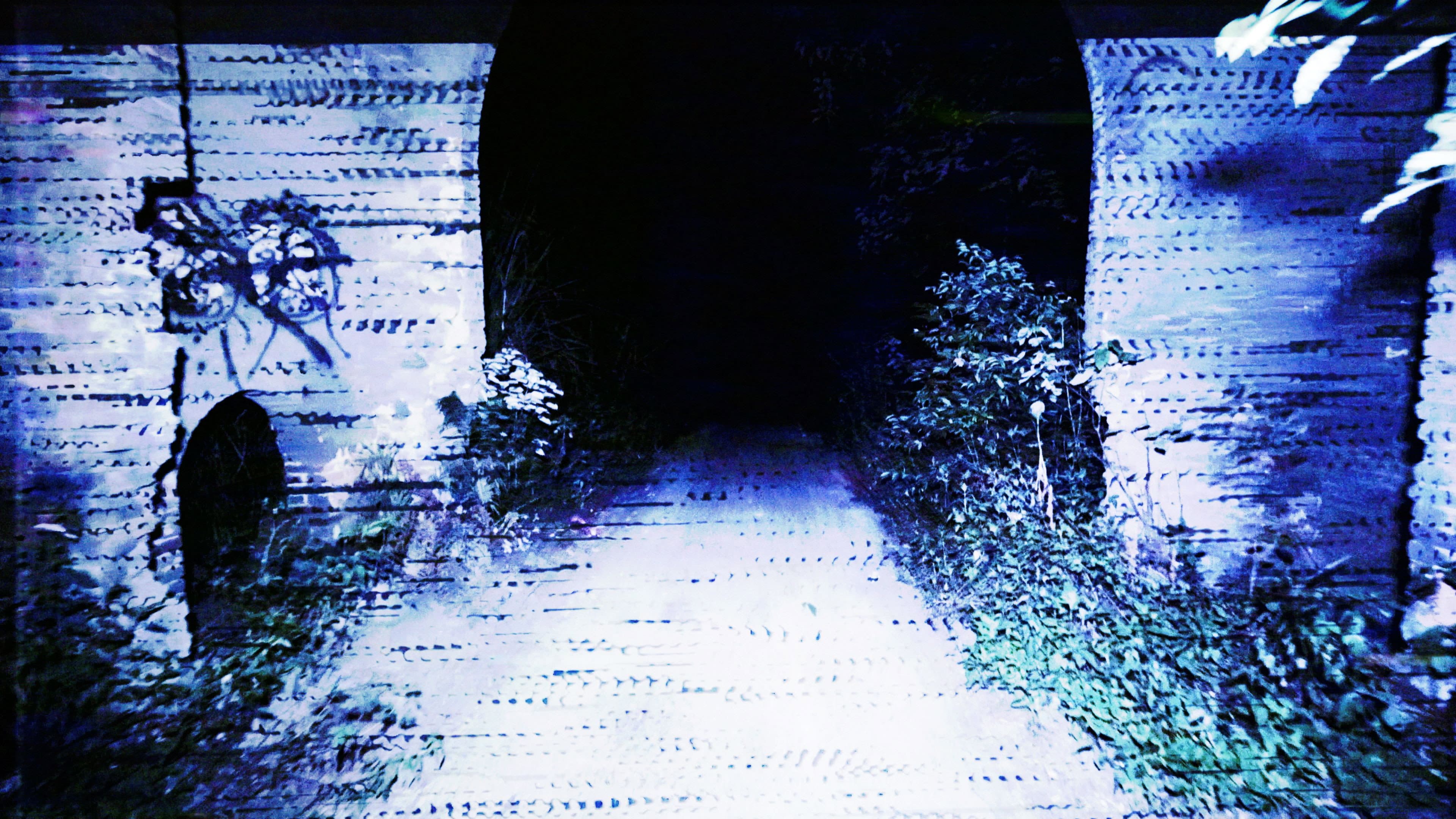 Transmission backdrop