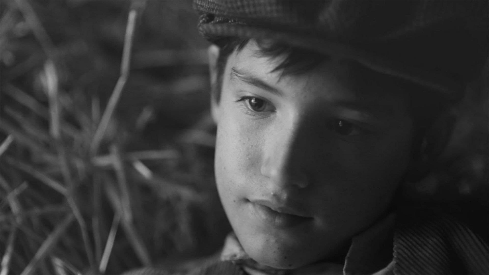 One Hundred and One backdrop