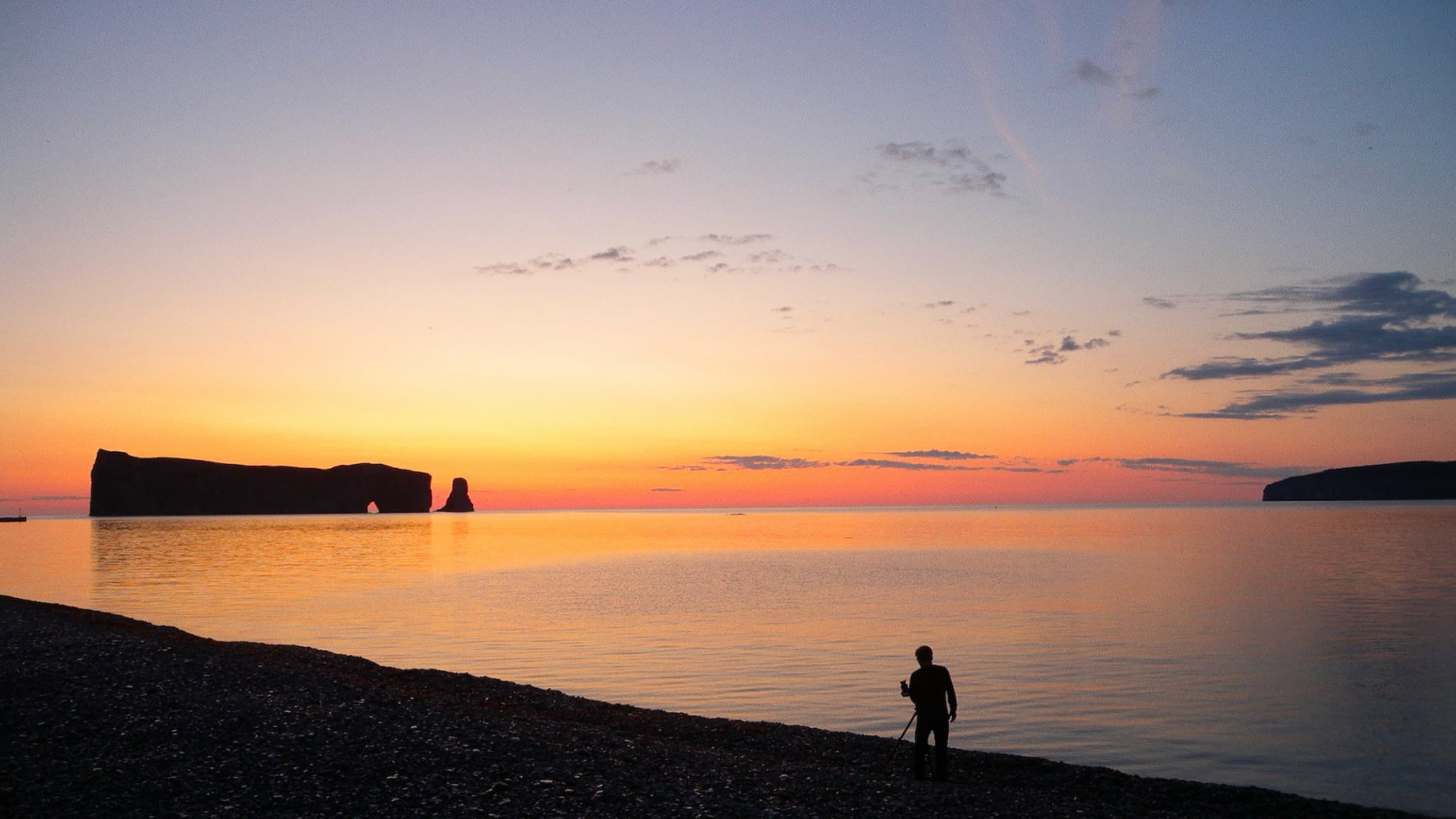Territoires, alliances et autres métissages backdrop