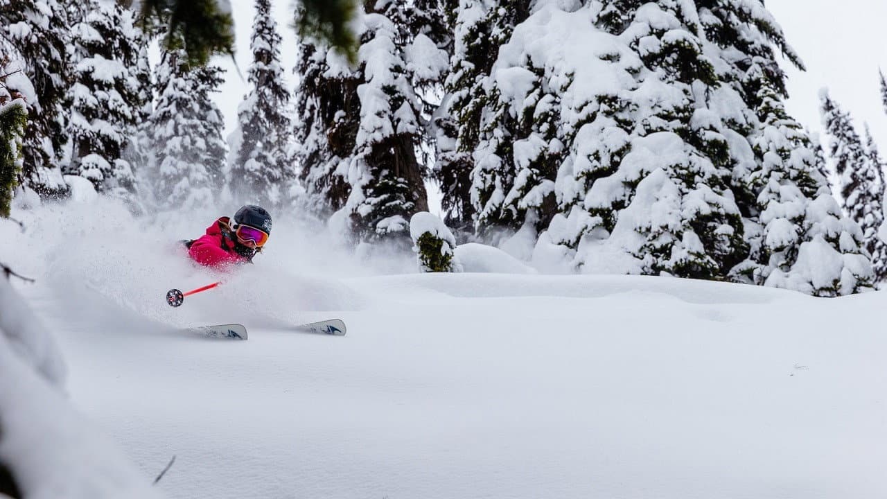 Rogue Elements backdrop