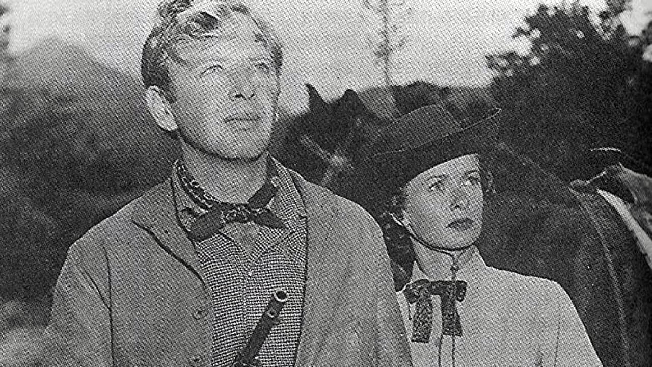 Montana Incident backdrop