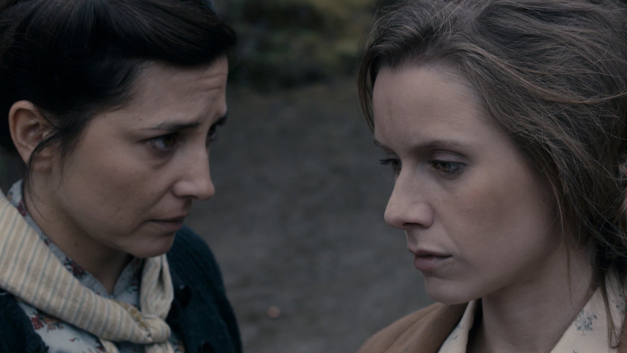 Dirty Wolves backdrop