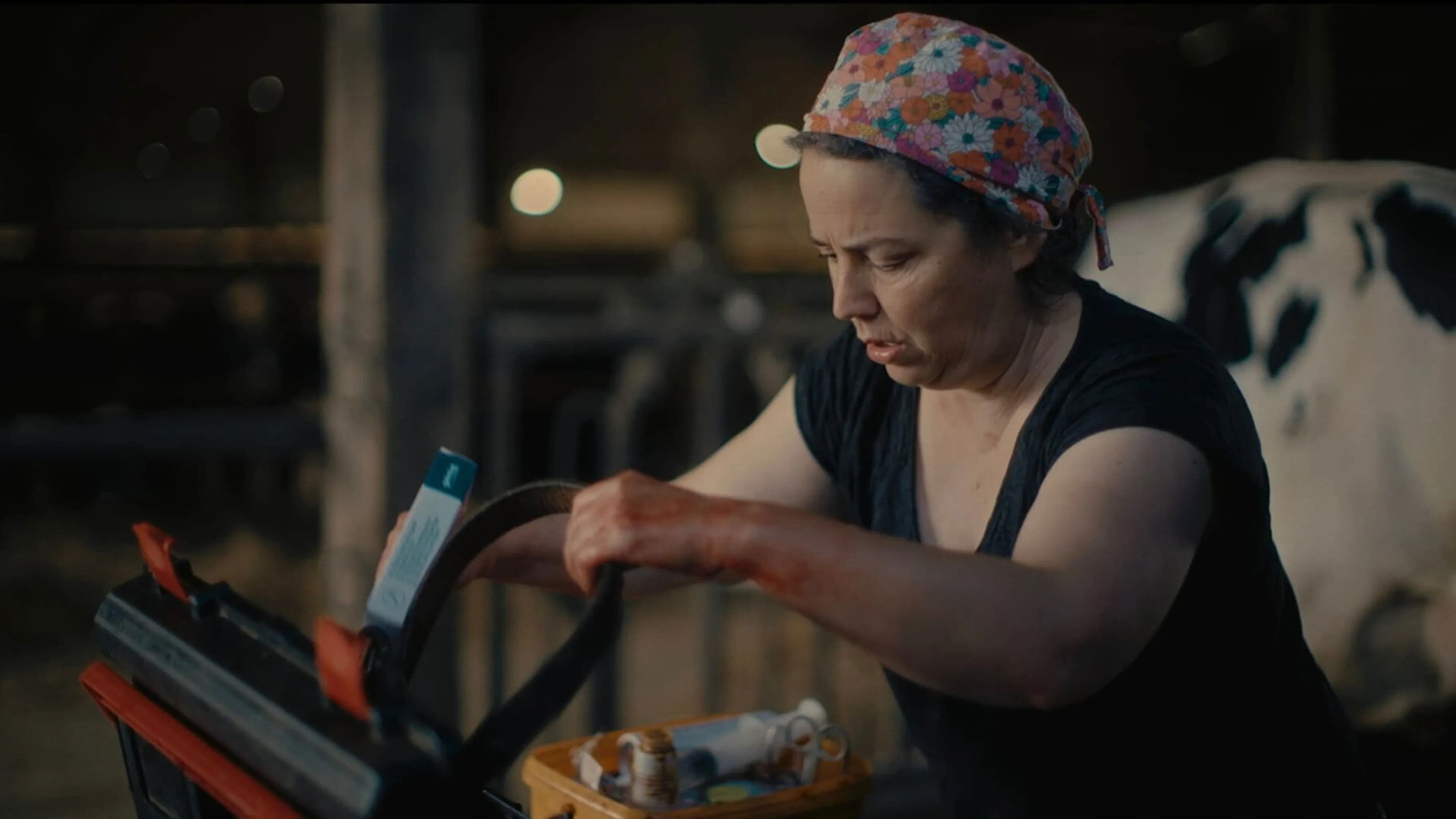 Véto de campagne backdrop